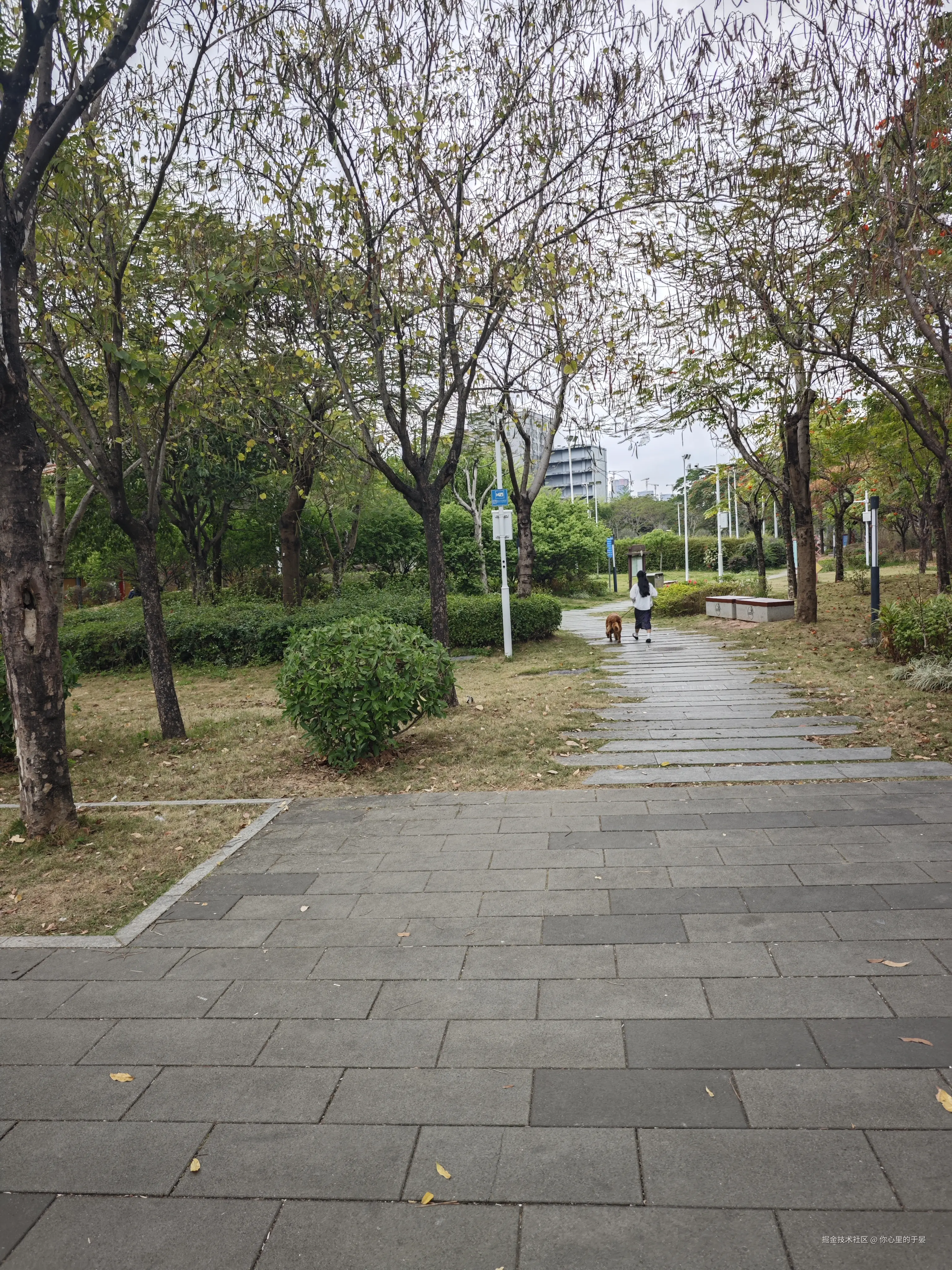 你心里的于晏于2026-03-17 13:39发布的图片