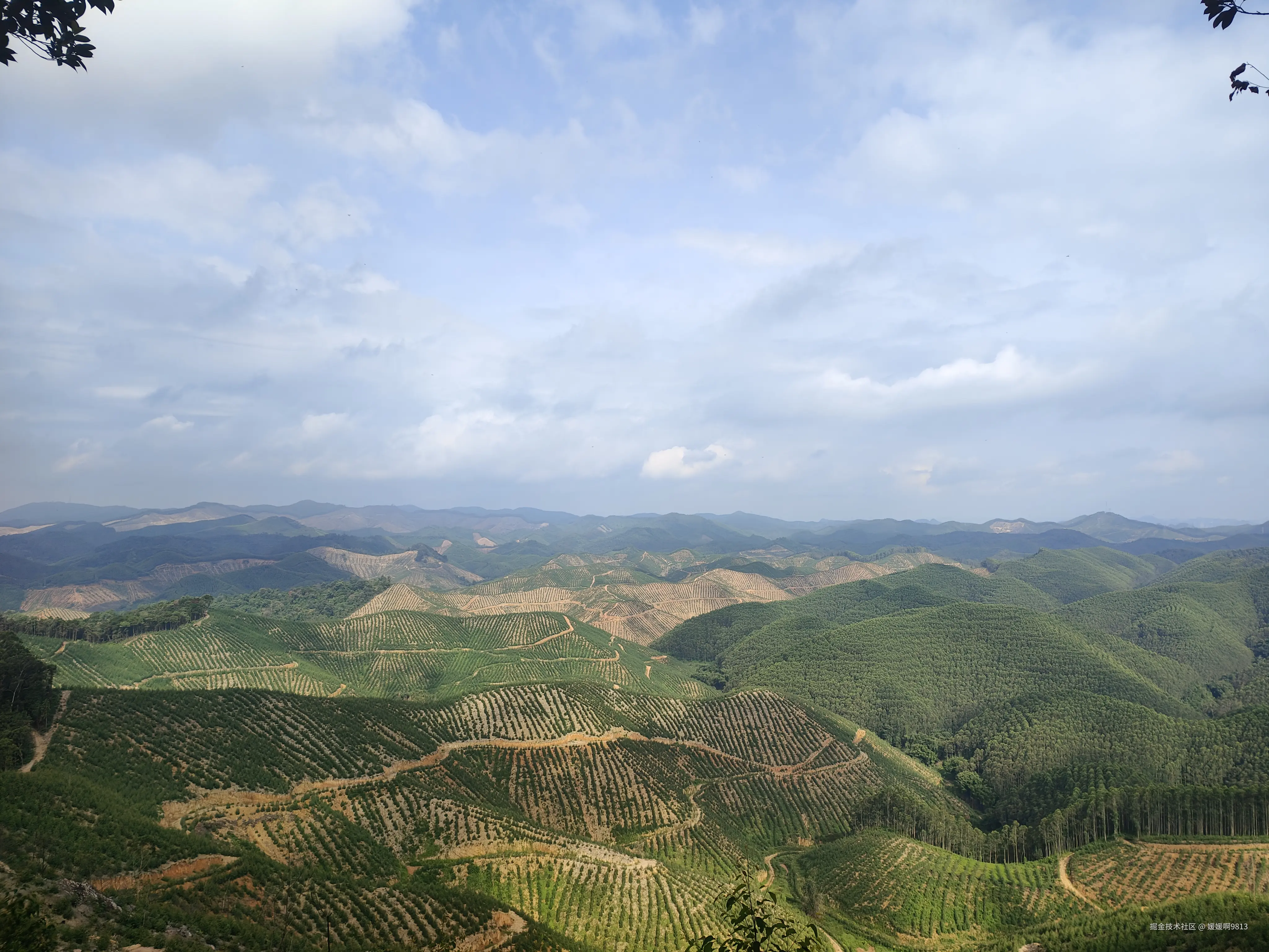 媛媛啊9813于2025-09-13 19:26发布的图片