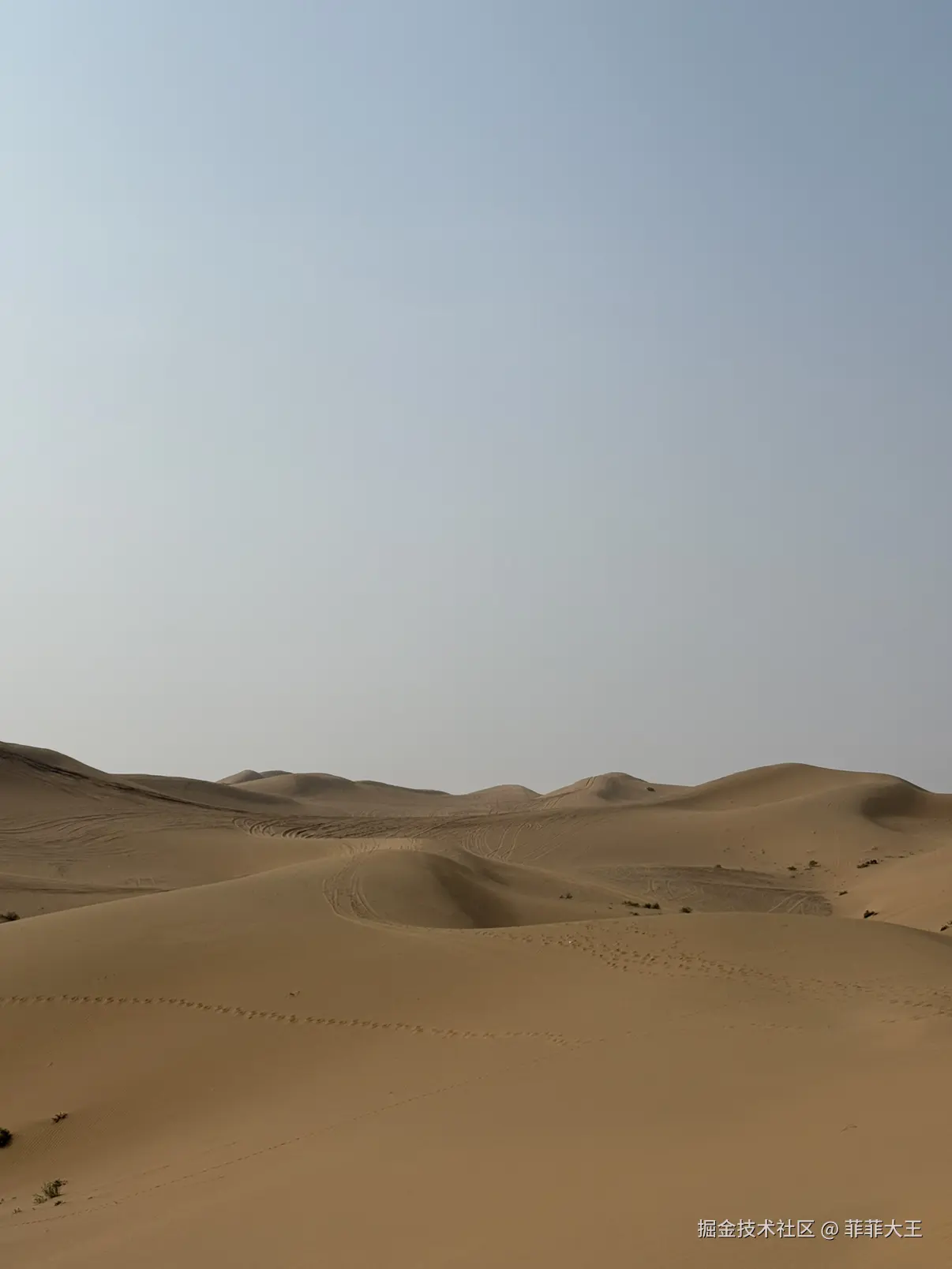 菲菲大王于2025-10-27 13:51发布的图片