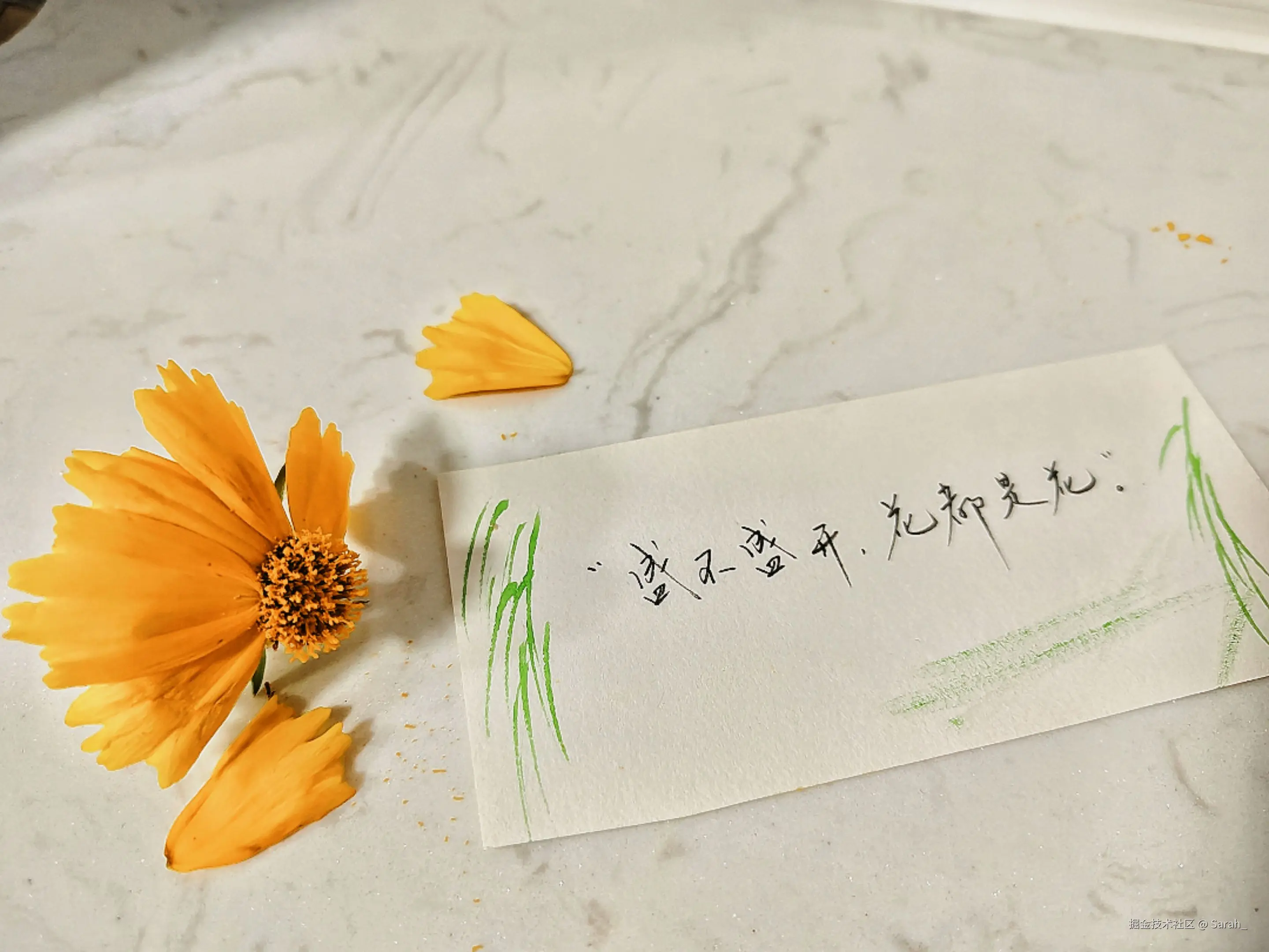 Sarah_于2025-05-28 08:33发布的图片