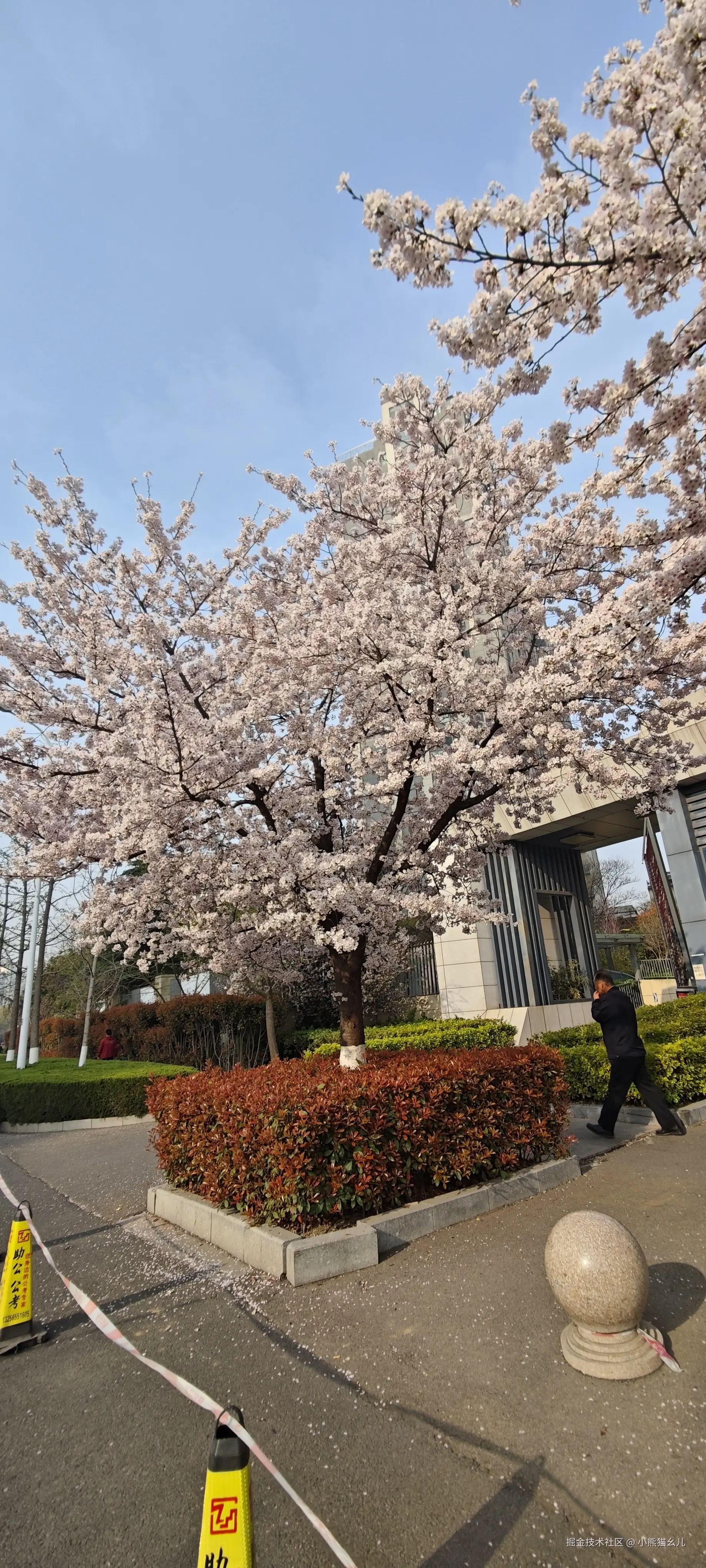 小熊猫幺儿于2026-03-29 14:54发布的图片