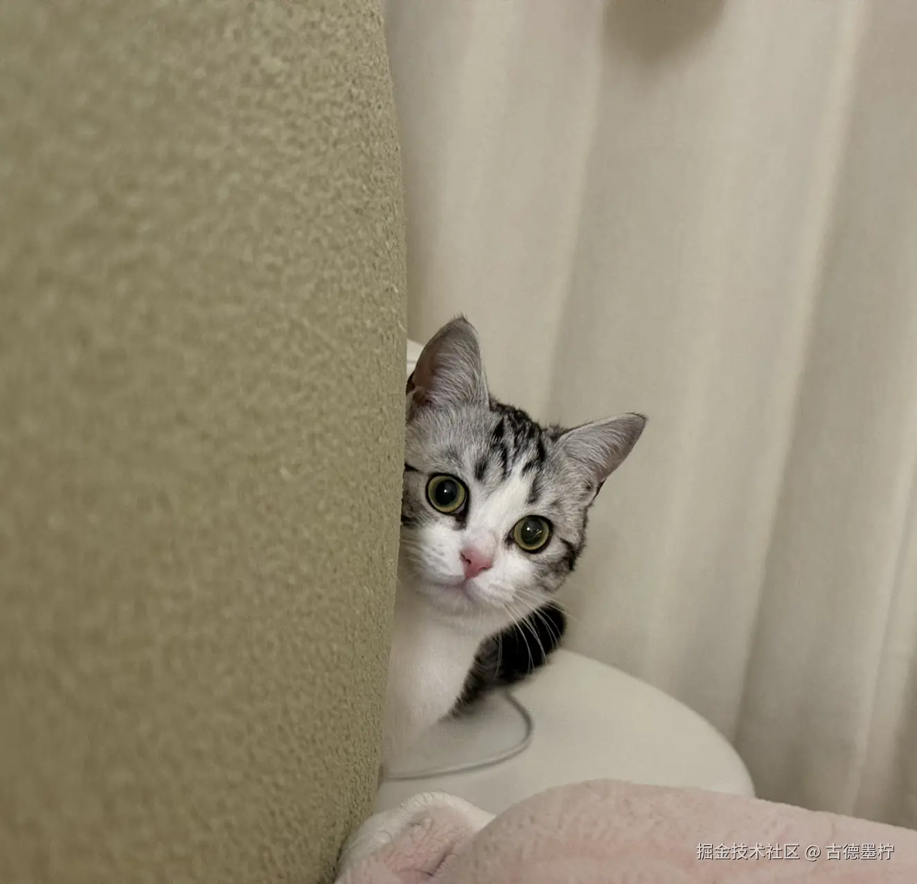 古德墨柠于2026-03-05 10:09发布的图片