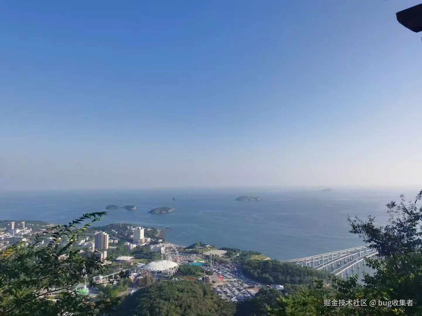 bug收集者于2024-09-18 09:47发布的图片