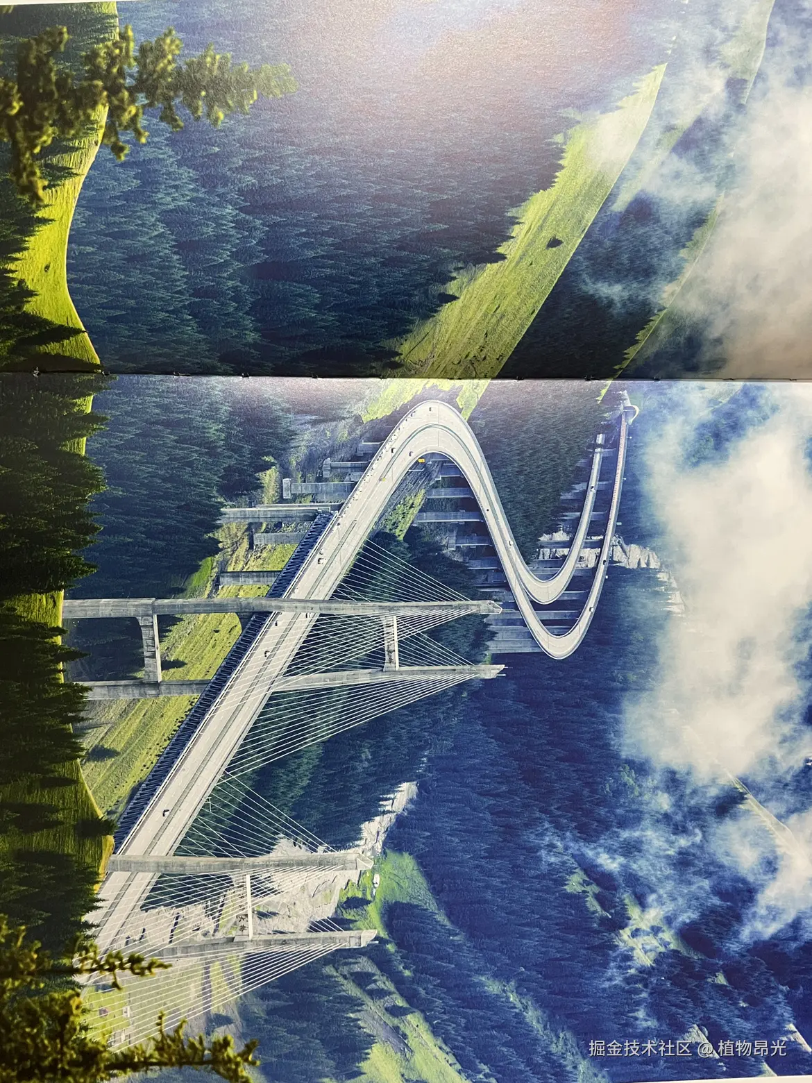 植物昂光于2026-03-19 20:22发布的图片