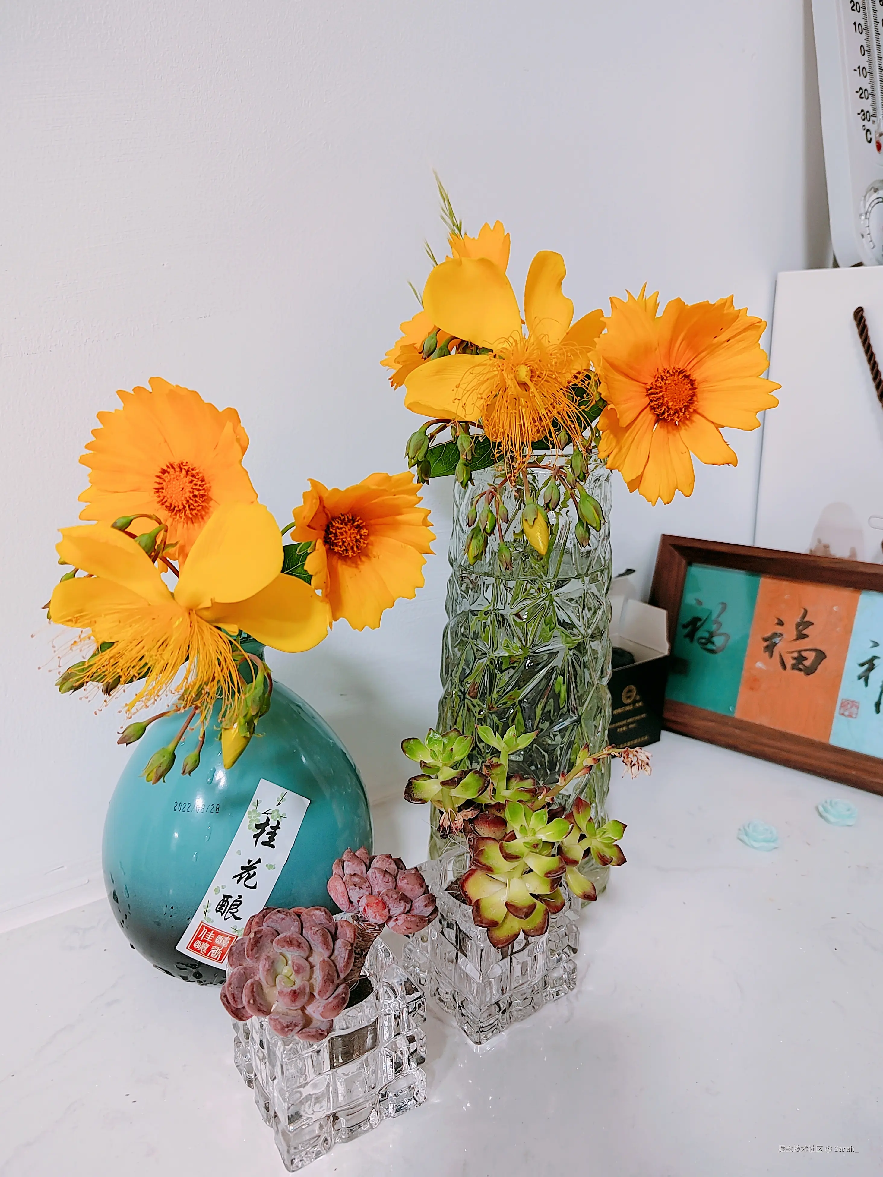 Sarah_于2025-05-28 08:37发布的图片