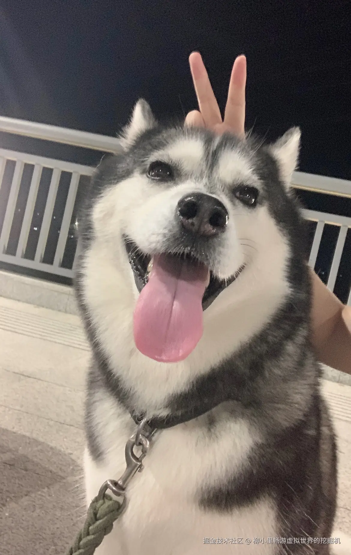 柳小里畅游虚拟世界的挖掘机于2025-11-27 02:58发布的图片