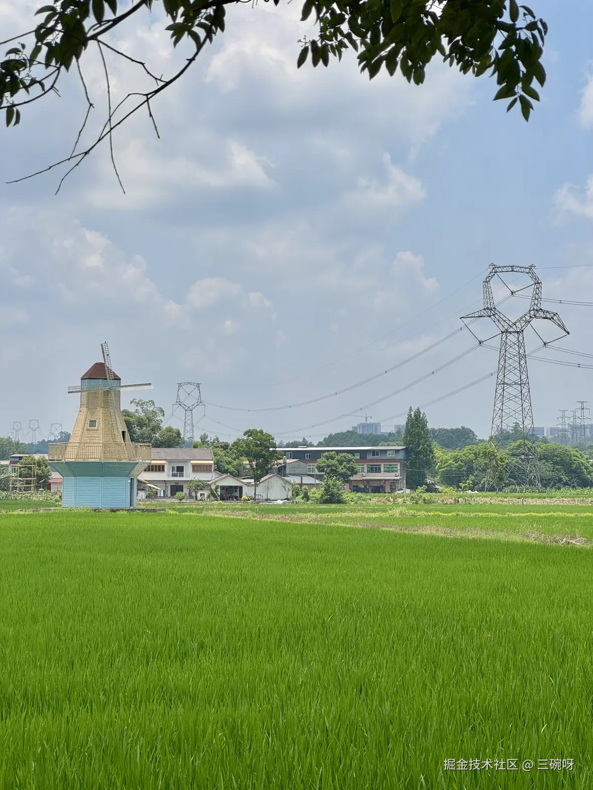 三碗呀于2025-07-28 10:00发布的图片