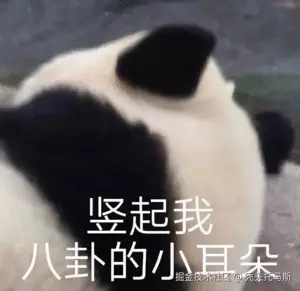 秃头托马斯于2025-04-07 14:17发布的图片