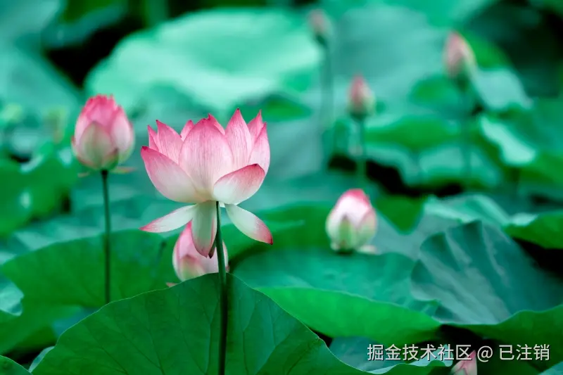 已注销于2025-07-07 04:07发布的图片
