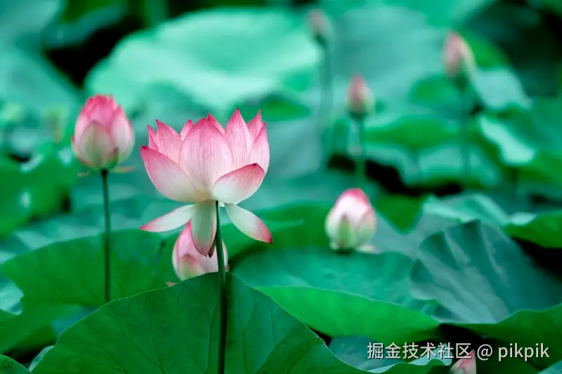 pikpik于2025-07-07 12:07发布的图片