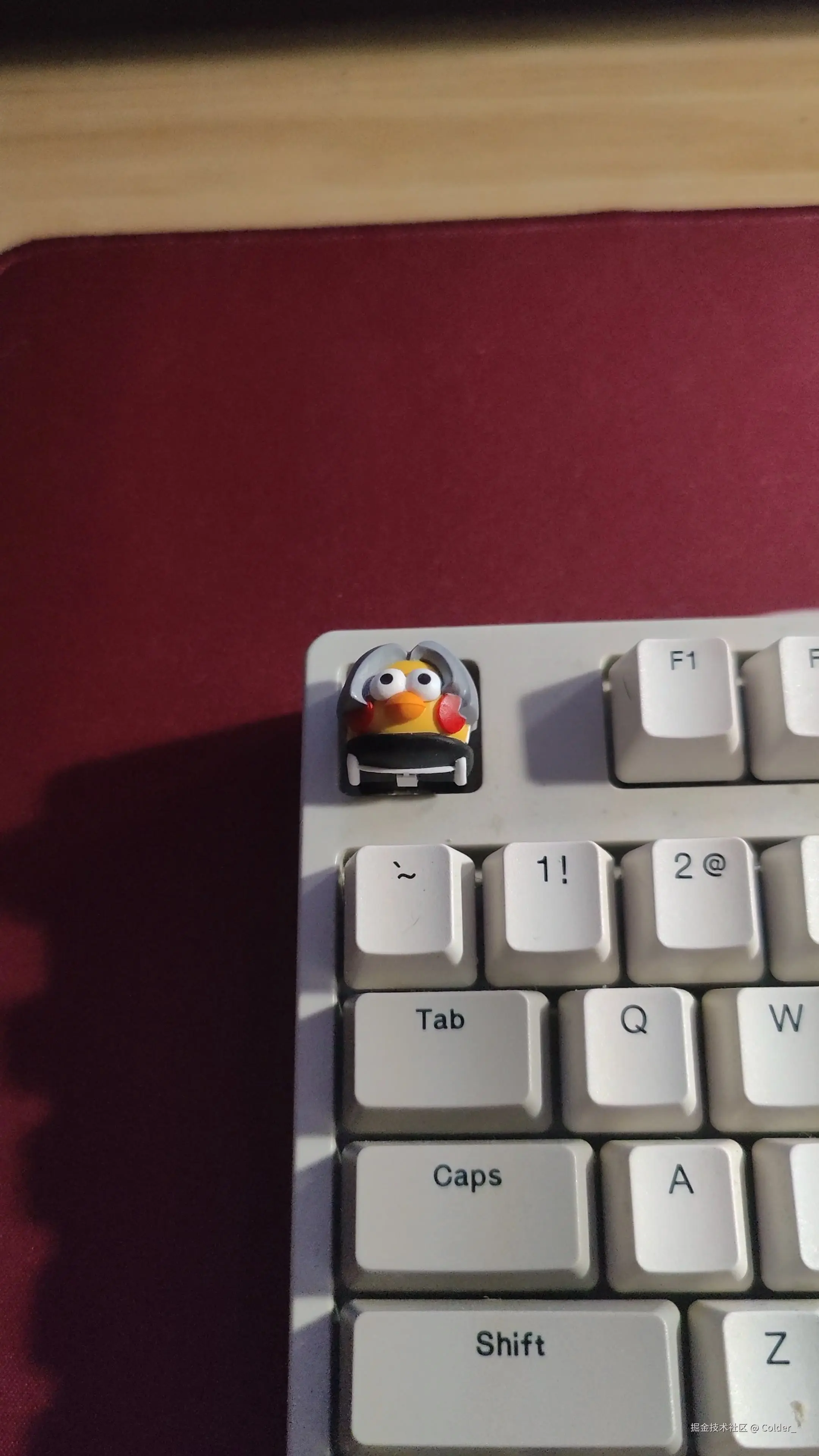 Colder_于2025-08-08 03:09发布的图片