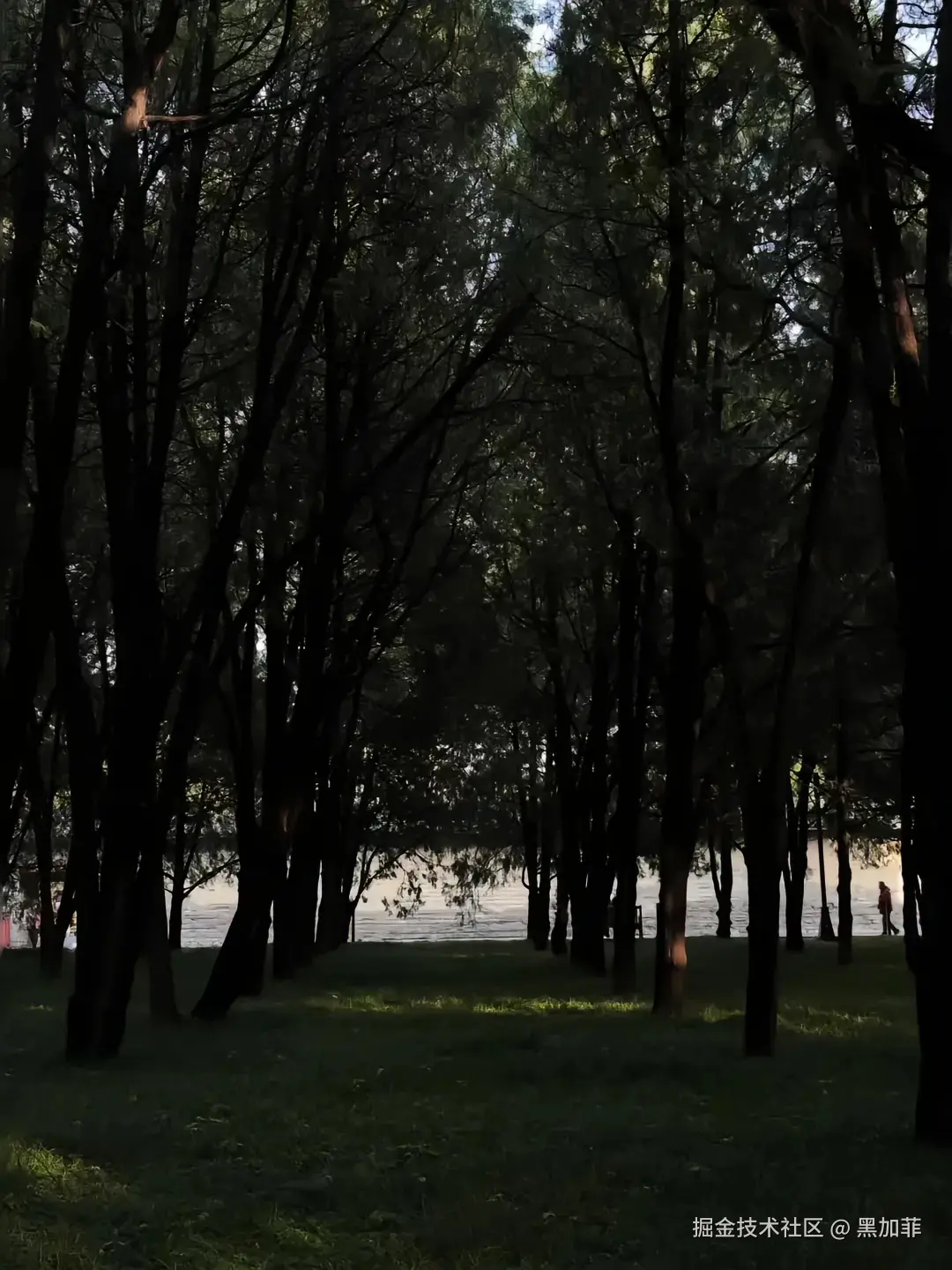 黑加菲于2024-11-30 10:36发布的图片