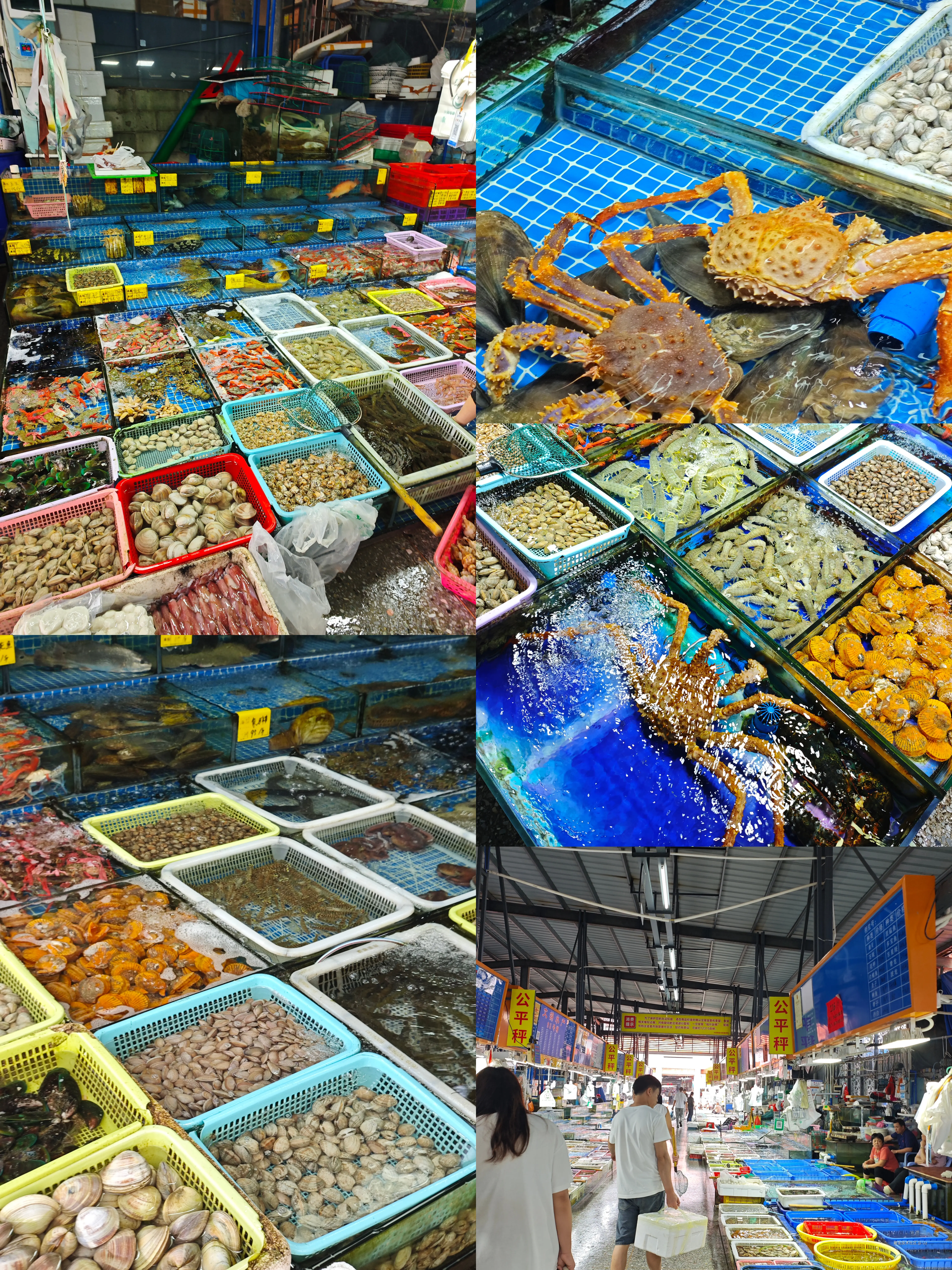 Uz于2026-04-13 09:14发布的图片