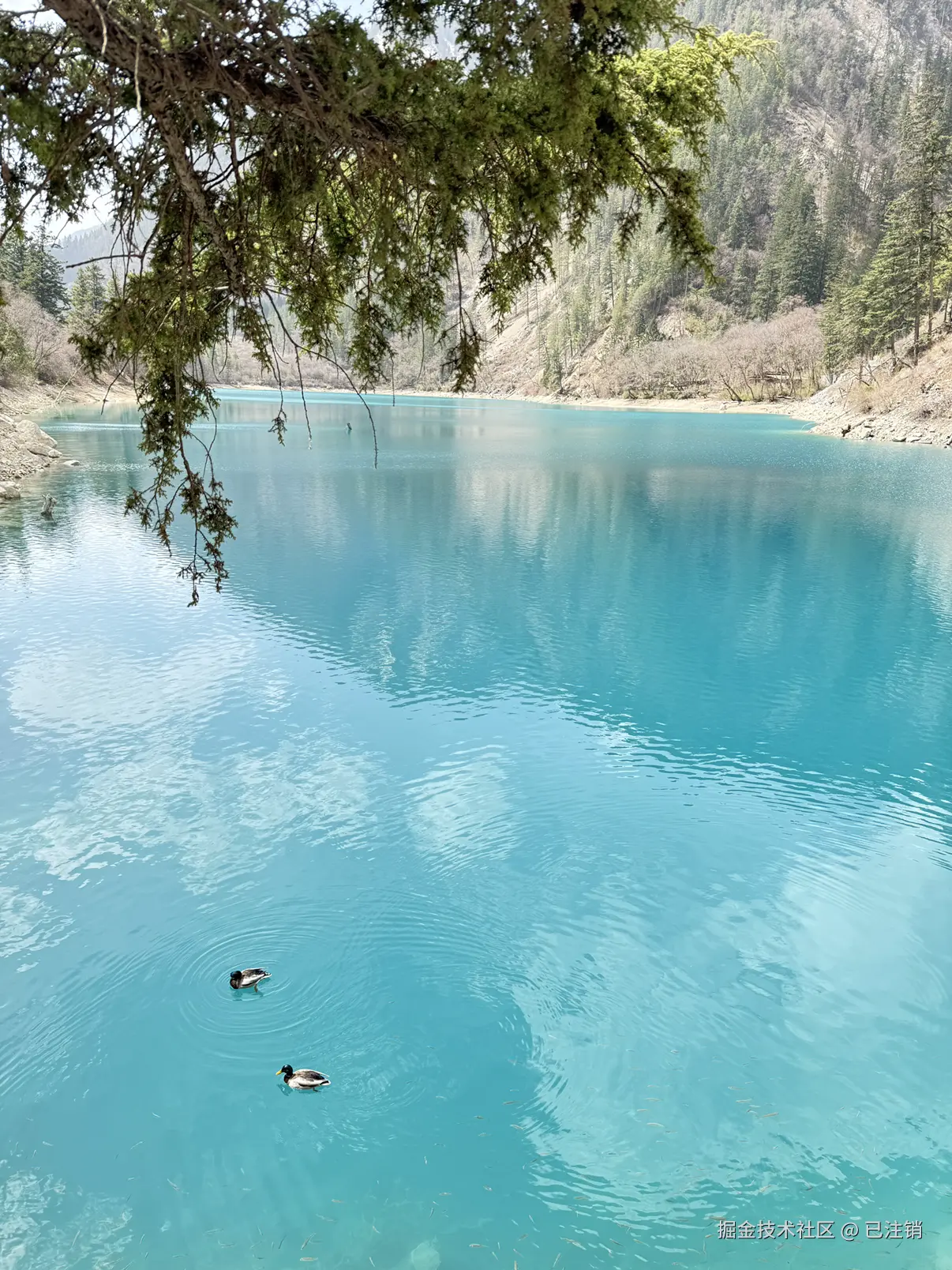 已注销于2025-04-07 04:36发布的图片