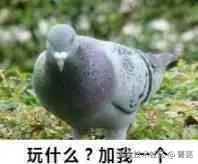 菁芜于2025-12-15 10:31发布的图片