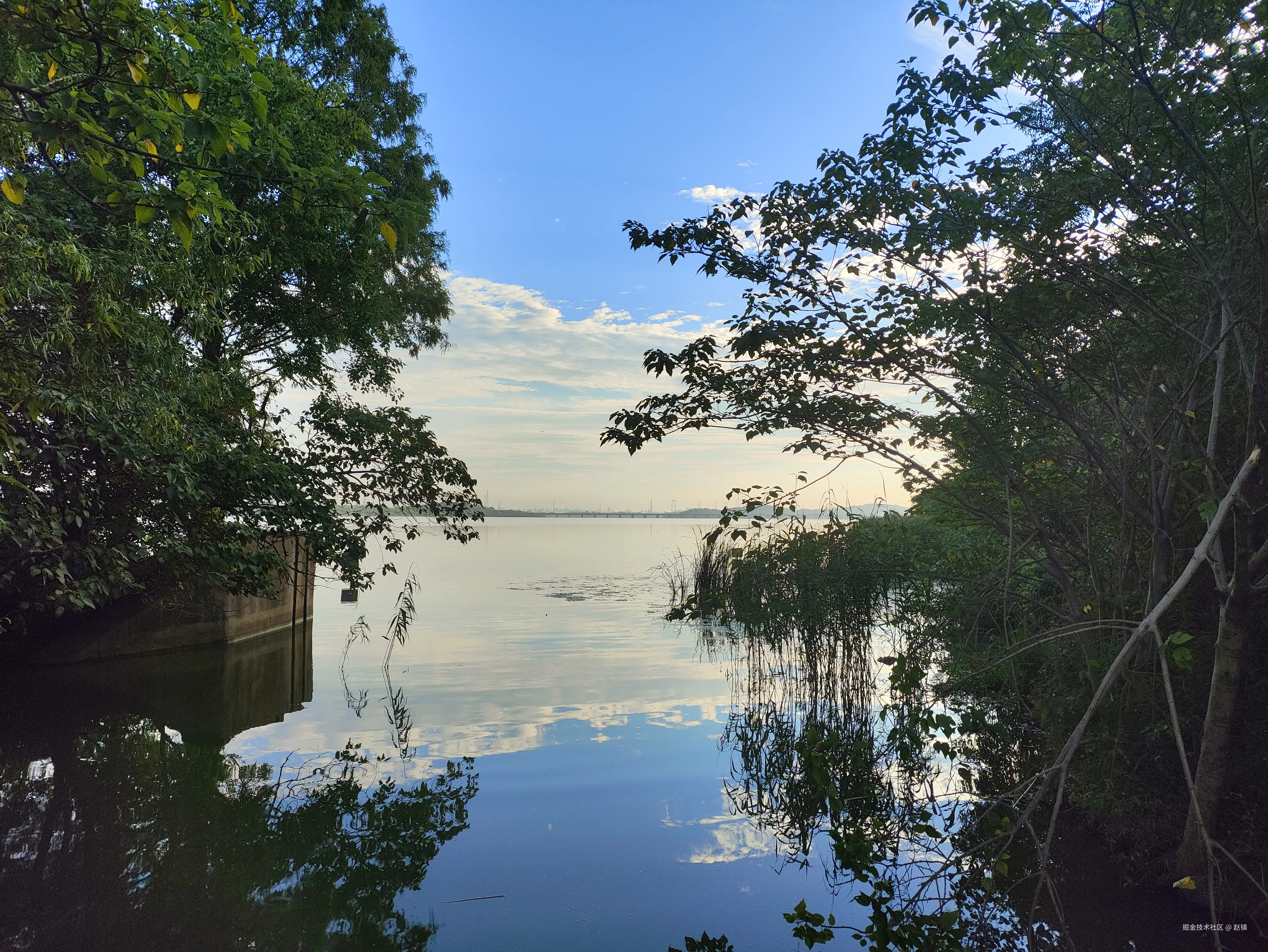 赵镇于2024-07-31 10:16发布的图片