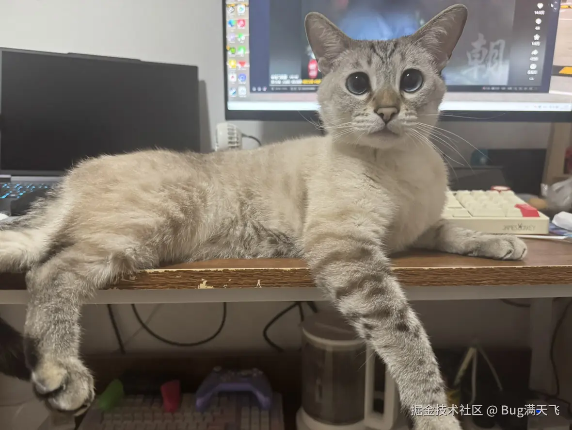 Bug满天飞于2025-04-16 14:35发布的图片