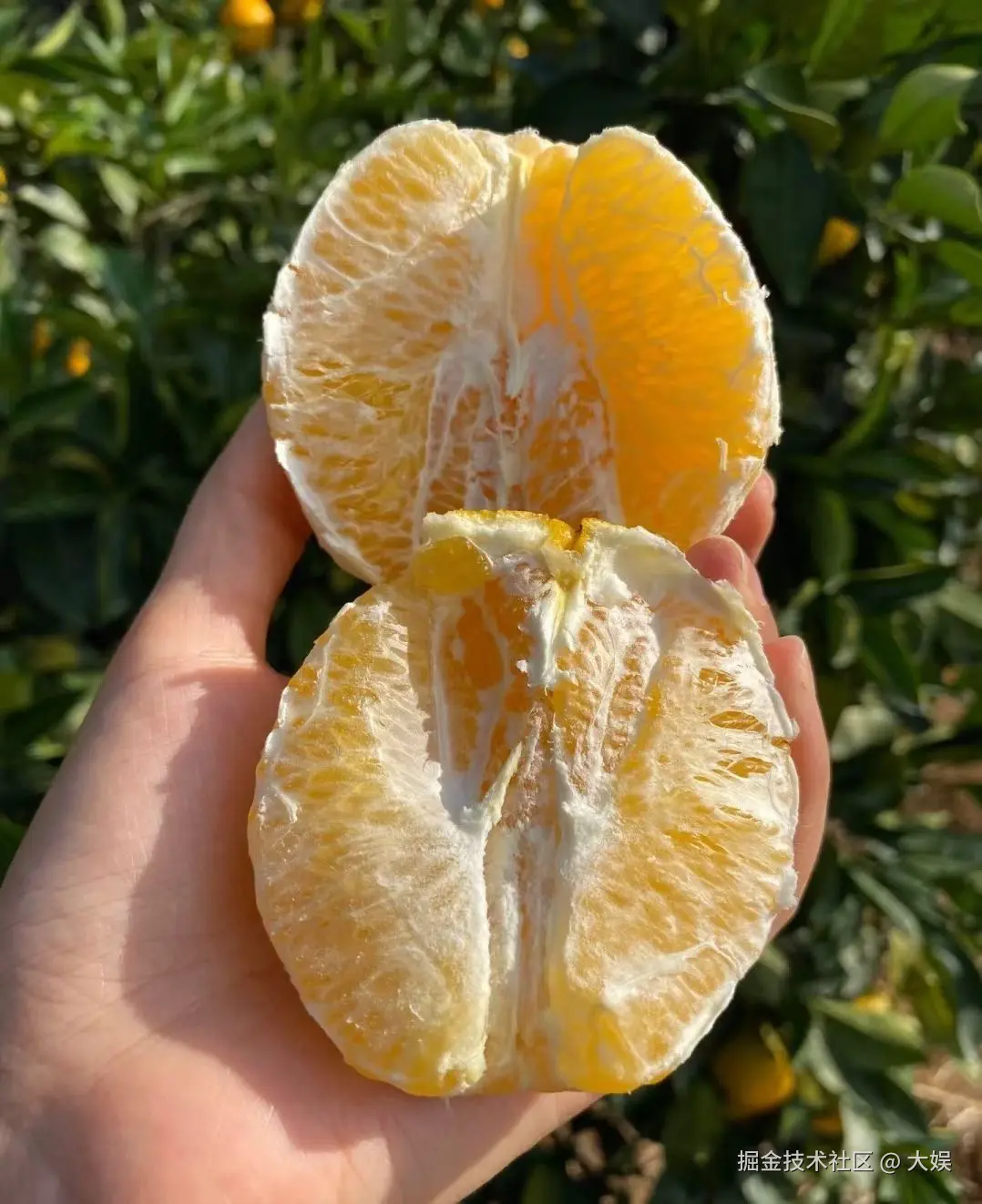 大娱于2024-11-21 15:23发布的图片