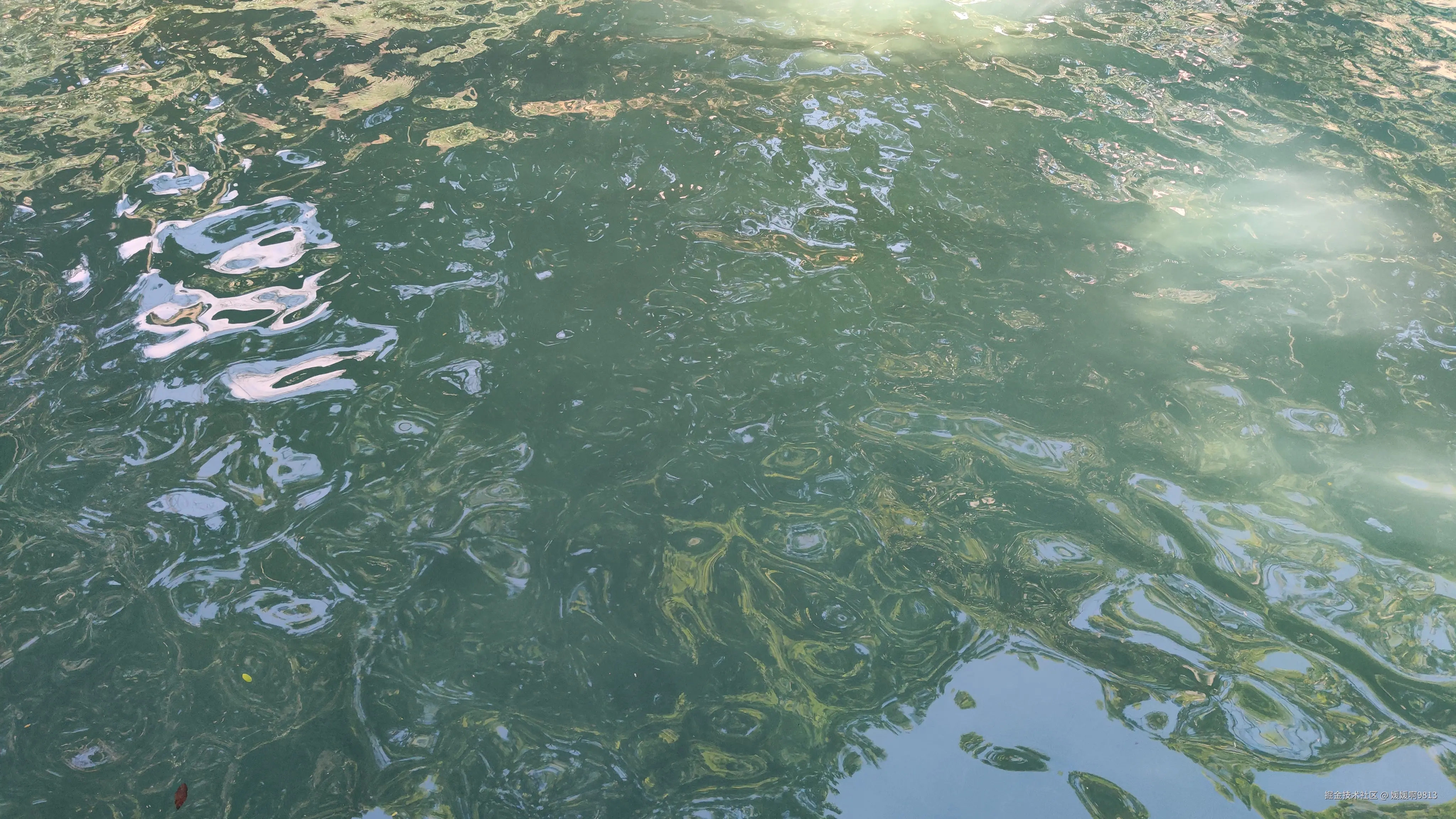 媛媛啊9813于2024-08-26 07:10发布的图片