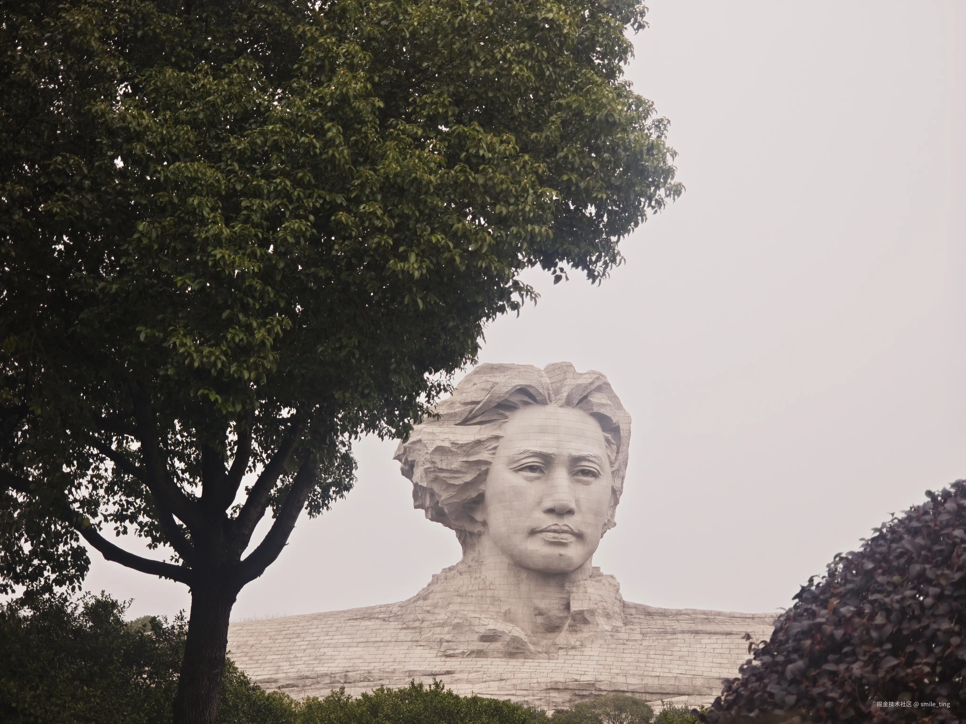 smile_ting于2026-03-07 21:09发布的图片