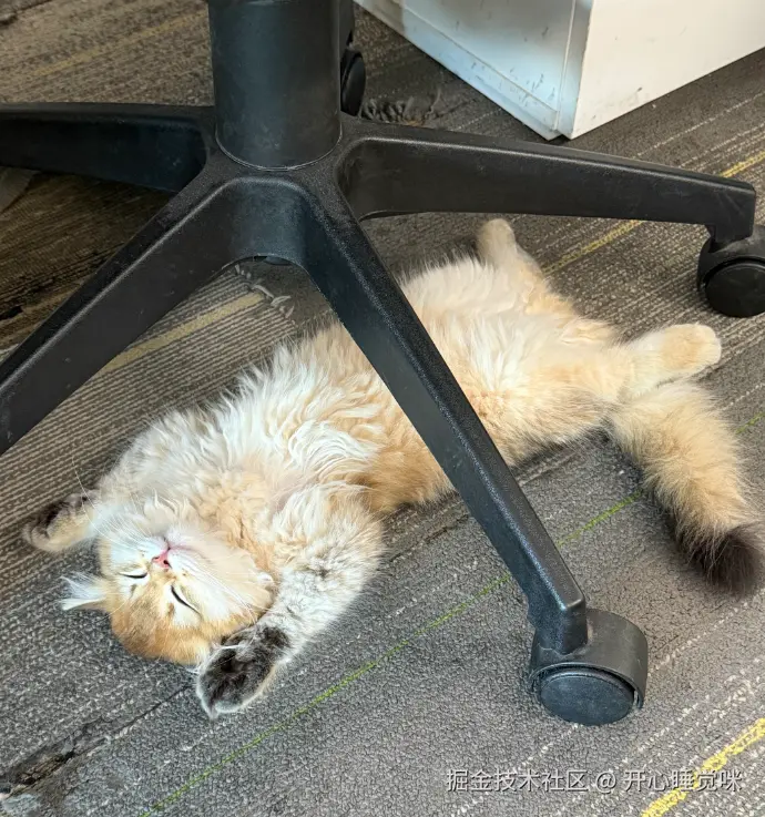 开心睡觉咪于2025-08-15 16:44发布的图片