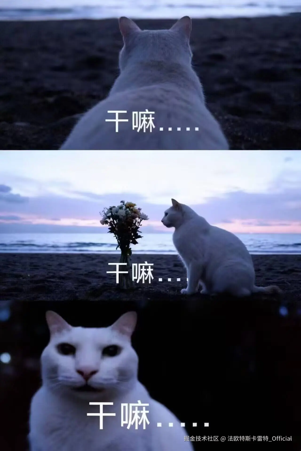 法欧特斯卡雷特_Official于2025-10-22 23:29发布的图片