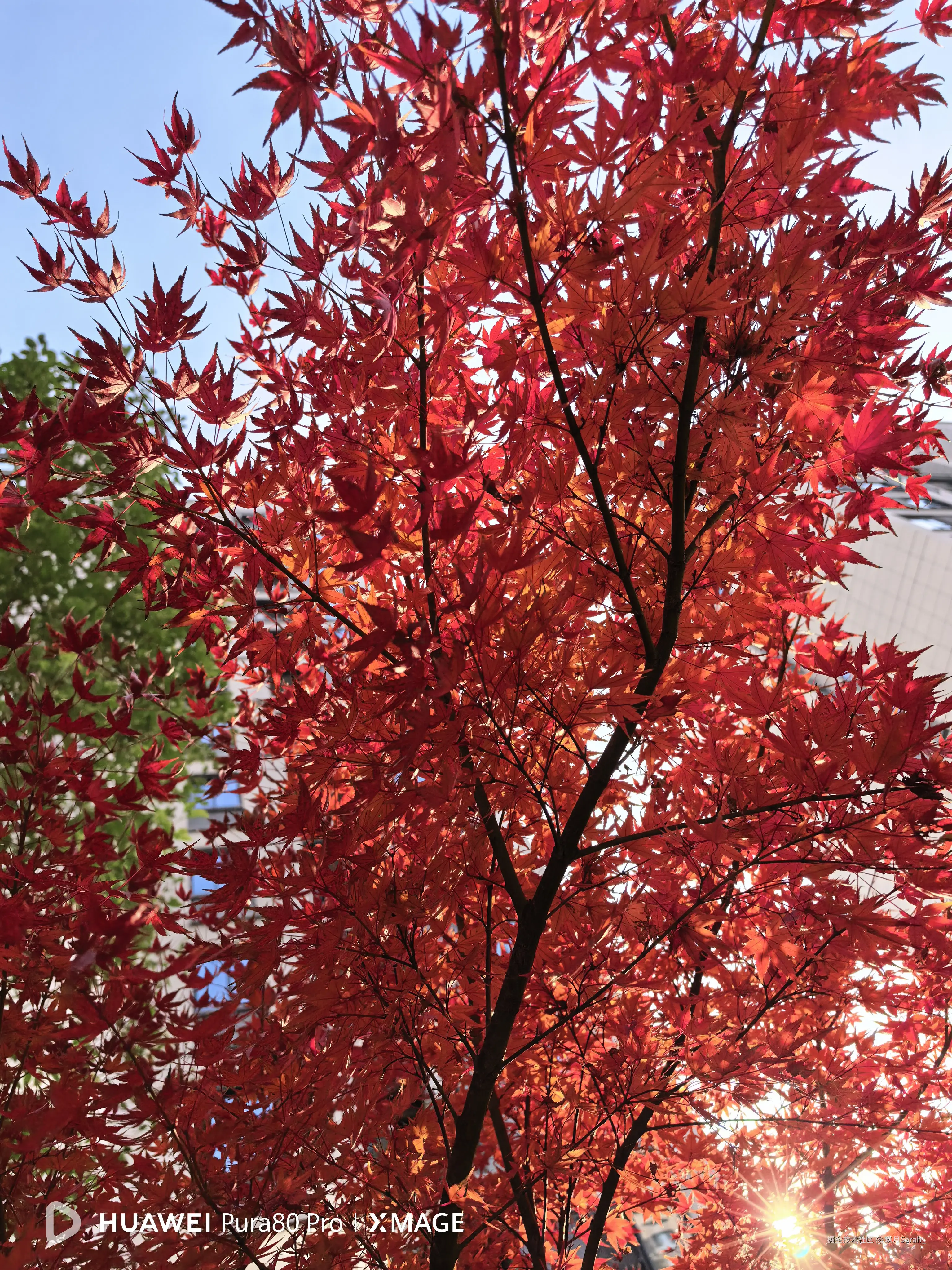 玖月Sarah_于2025-12-10 17:48发布的图片