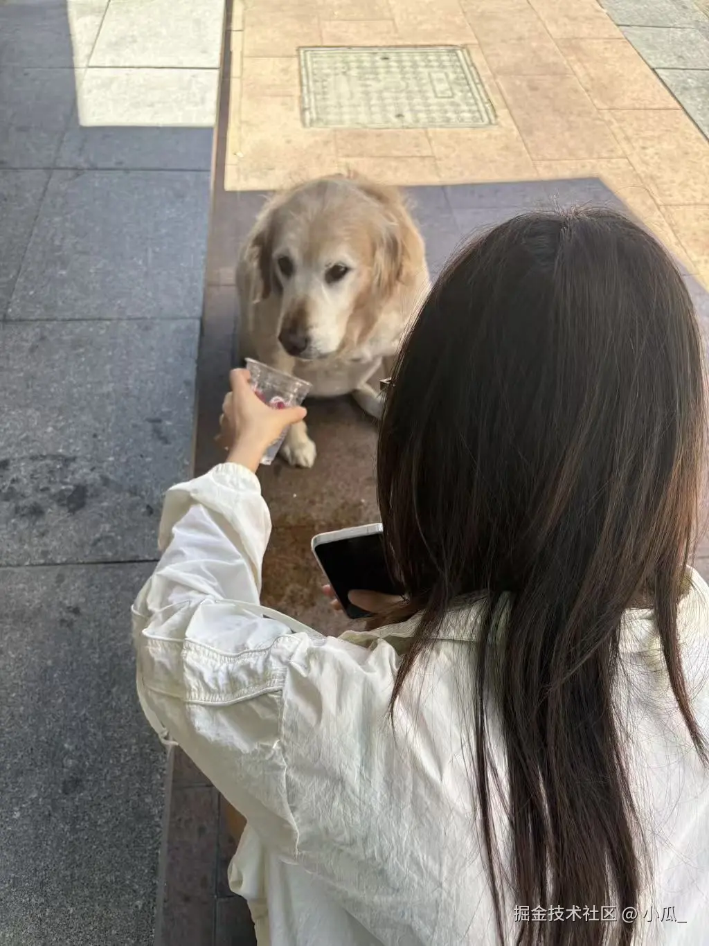 小瓜_于2025-08-28 14:22发布的图片