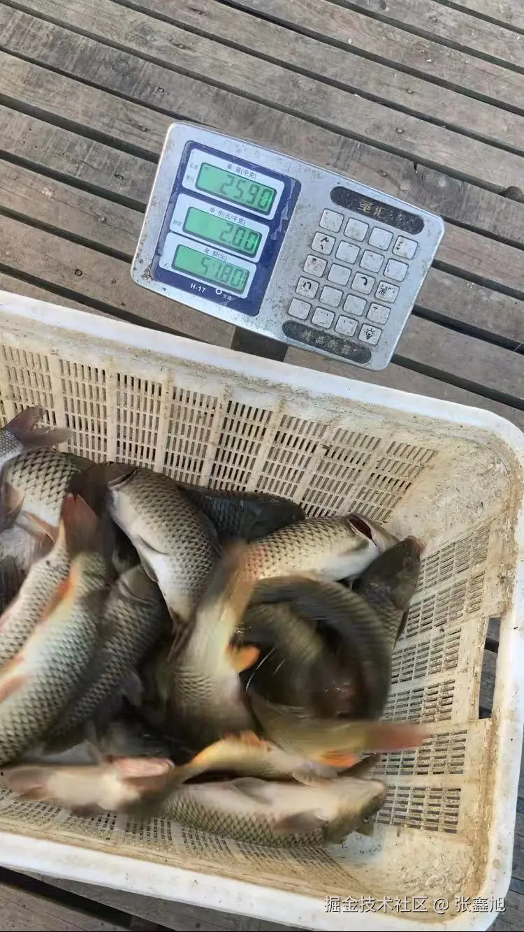 张鑫旭于2024-08-06 00:04发布的图片