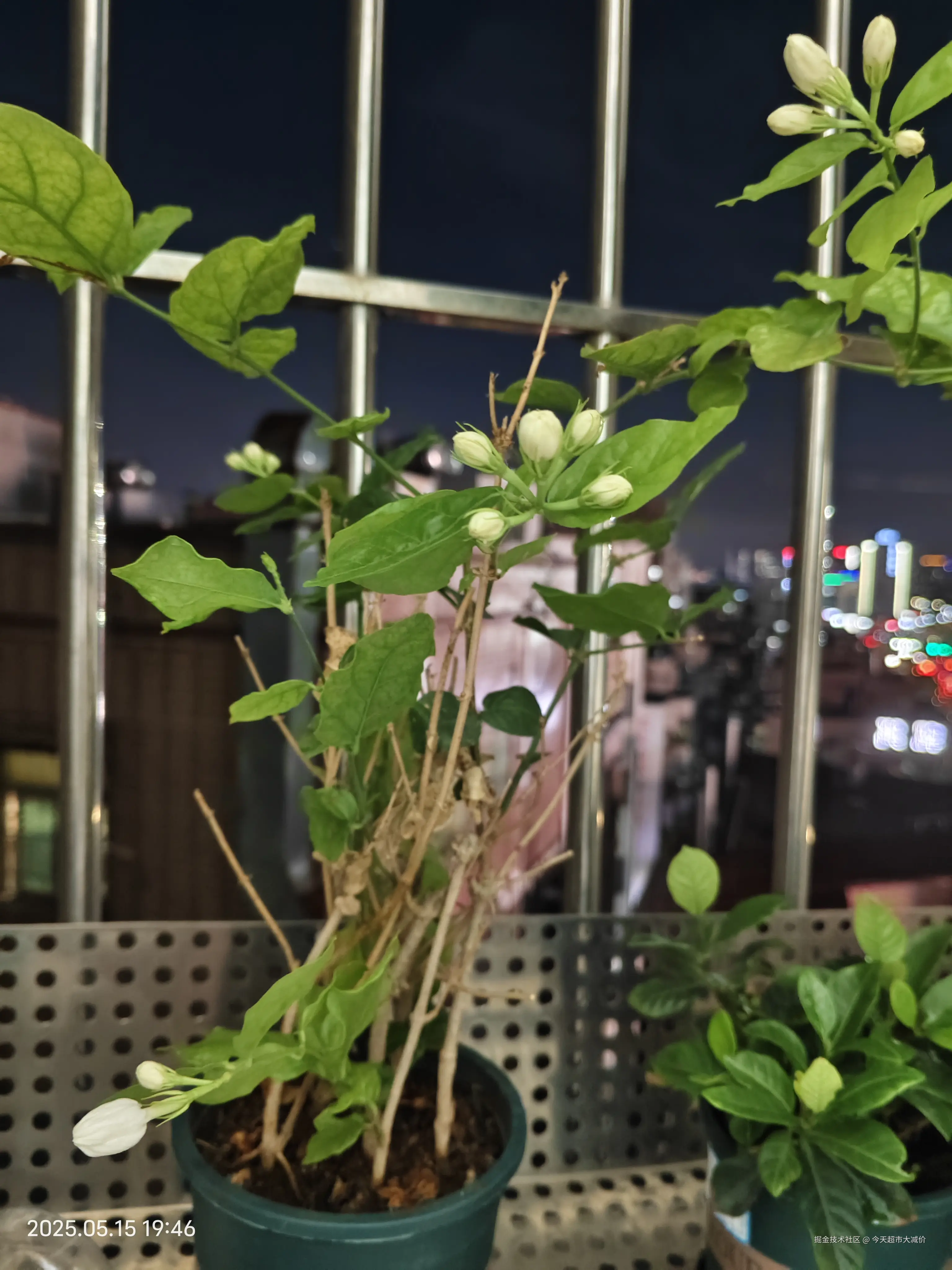 今天超市大减价于2025-05-16 02:41发布的图片