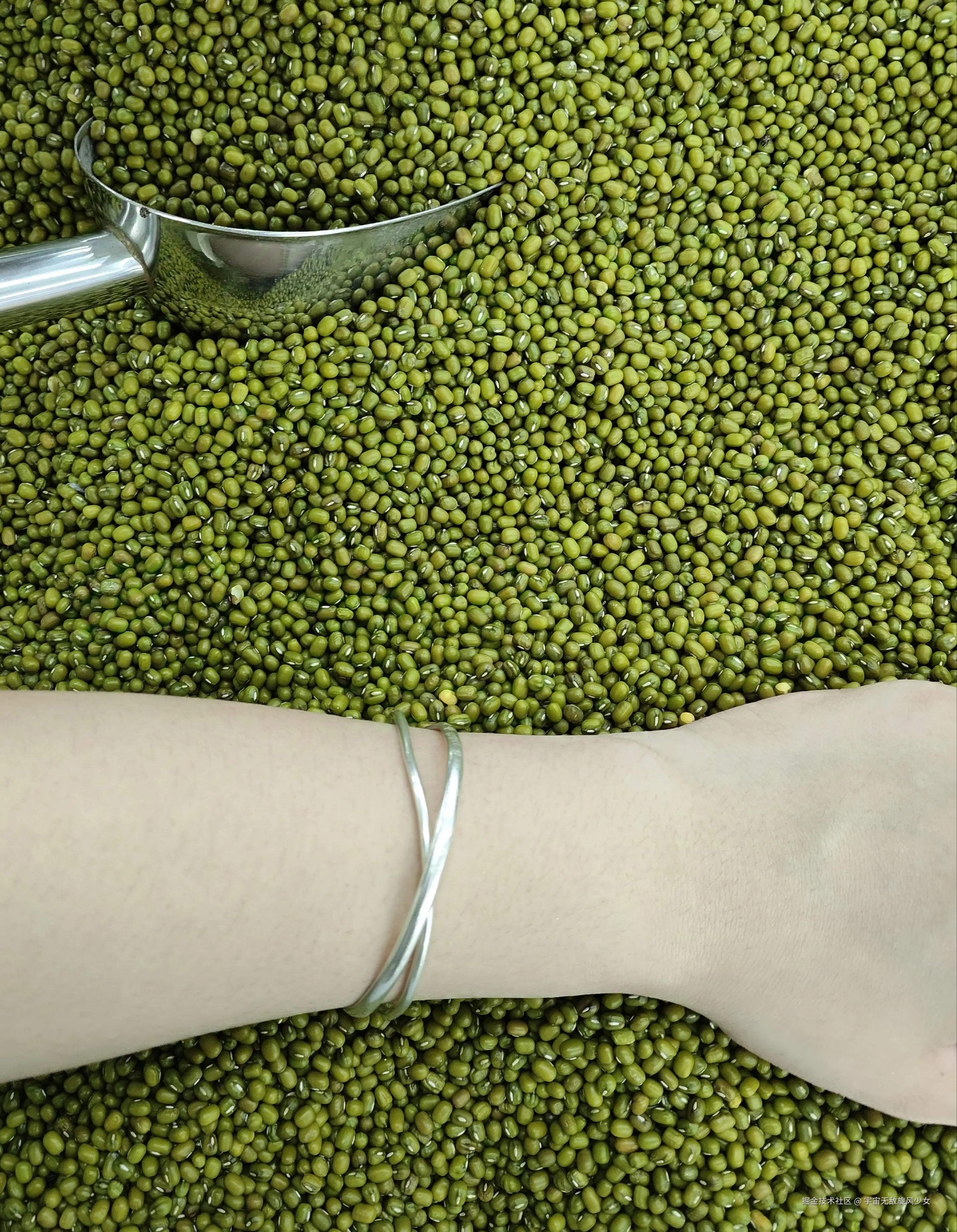 宇宙无敌旋风少女于2024-09-03 12:26发布的图片