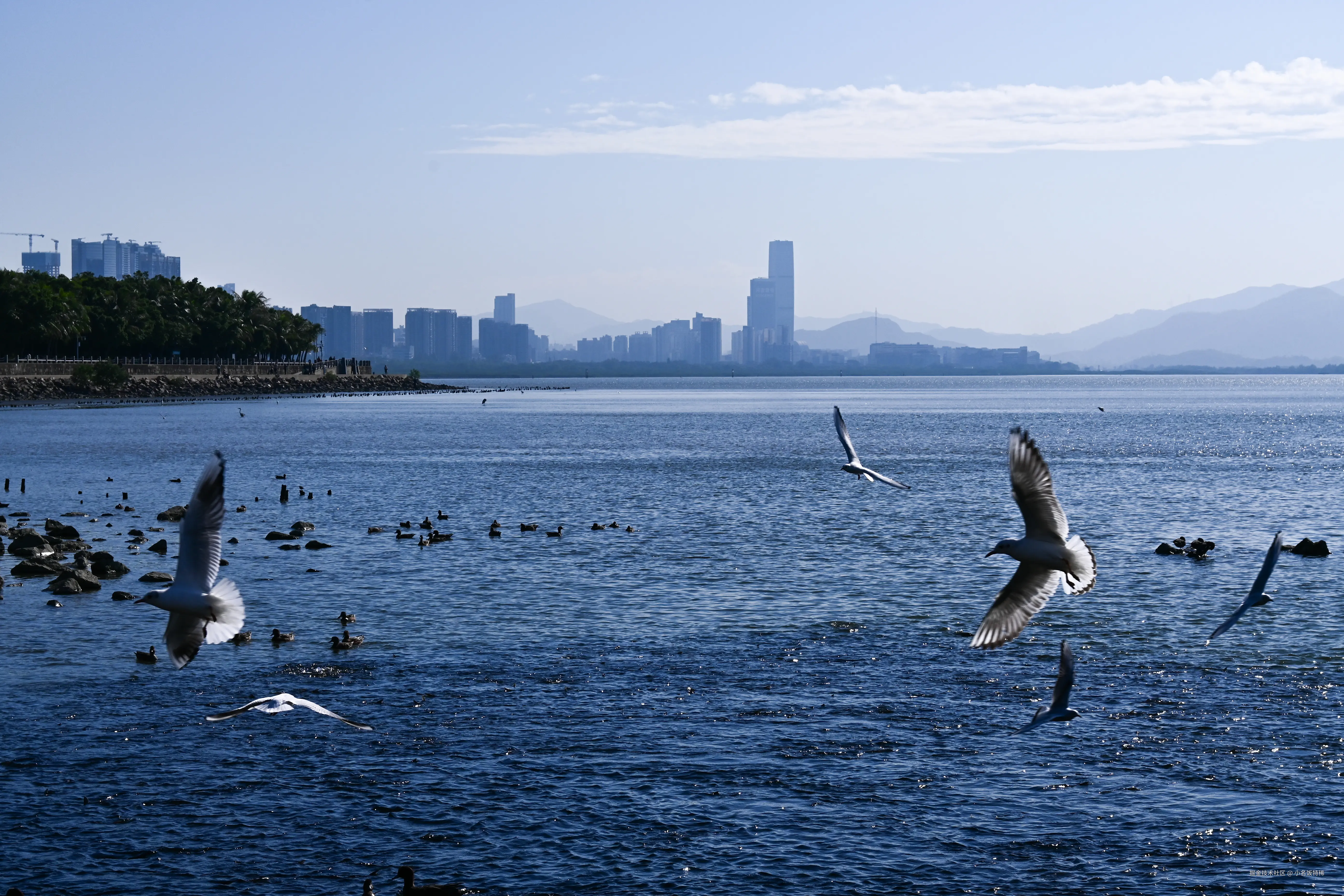 小名饭特稀于2025-11-24 09:42发布的图片