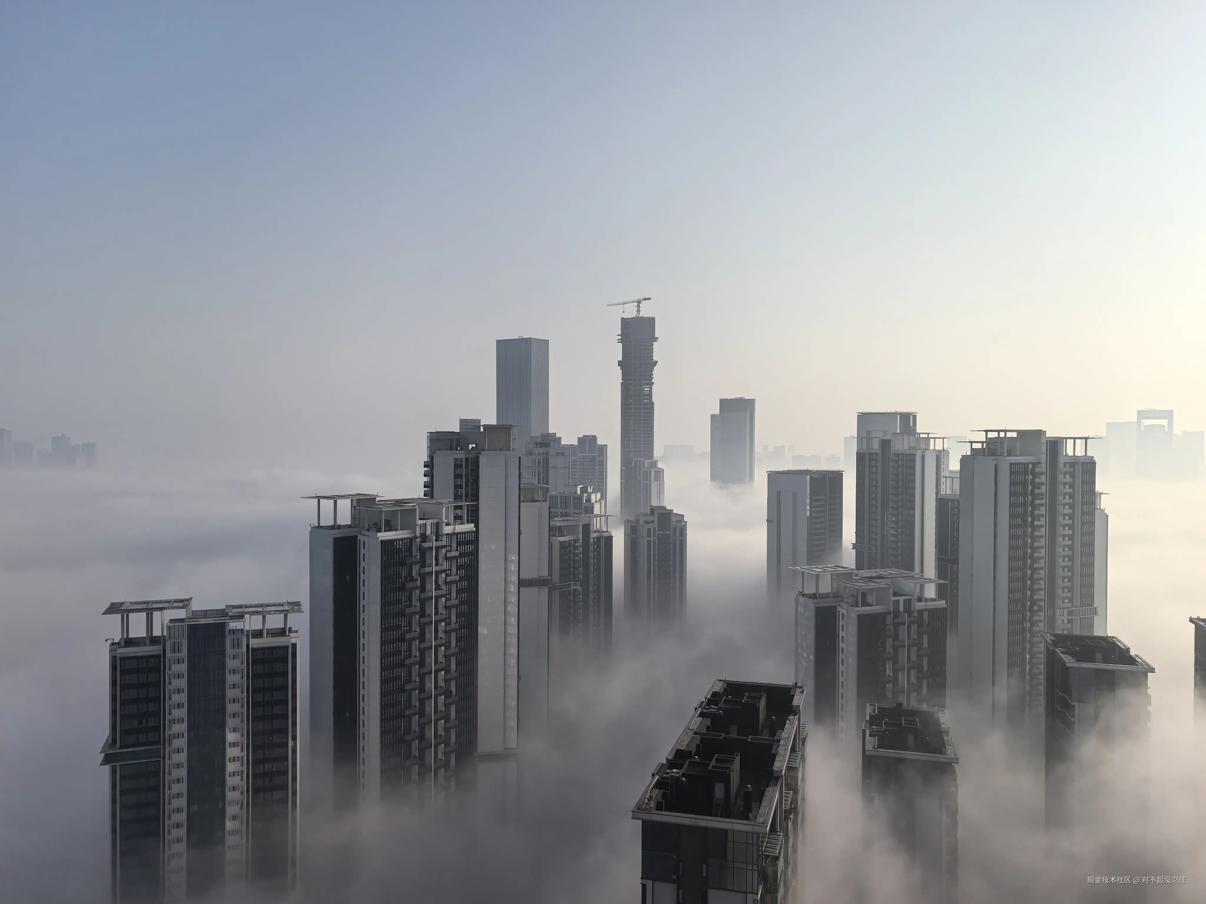 对不起没忍住于2025-11-27 10:29发布的图片