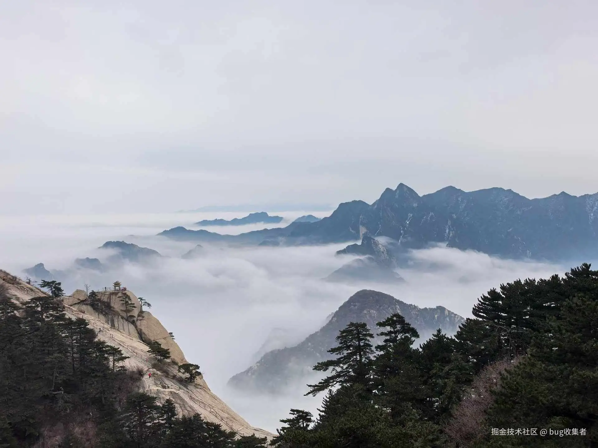 bug收集者于2026-03-09 08:27发布的图片