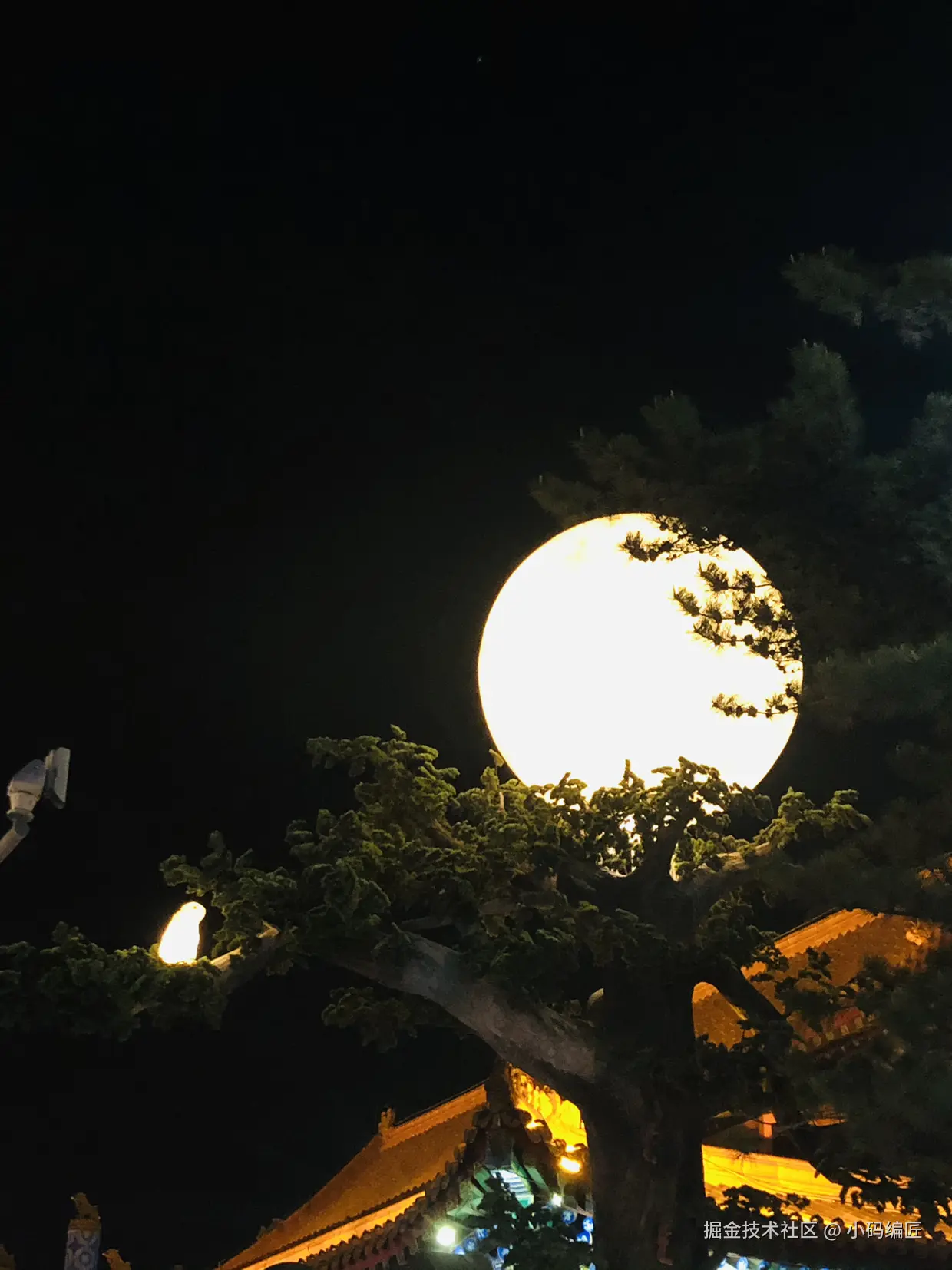 小码编匠于2024-10-16 08:04发布的图片