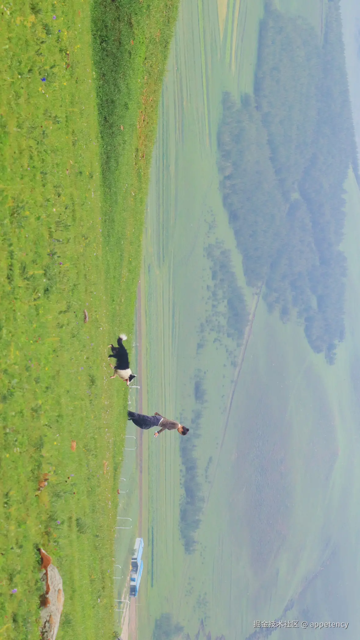 appetency于2024-12-31 16:23发布的图片