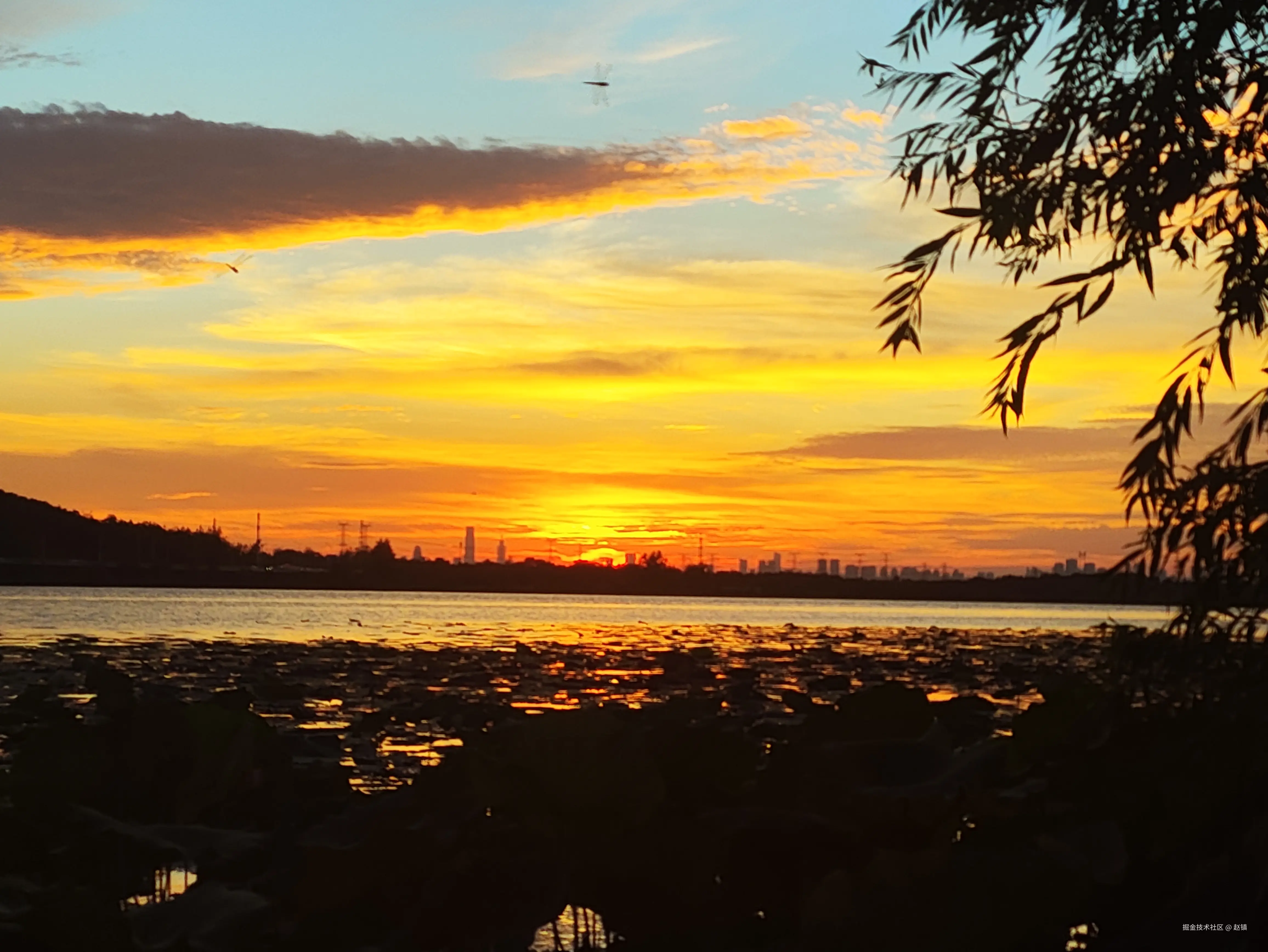 赵镇于2025-08-25 14:50发布的图片