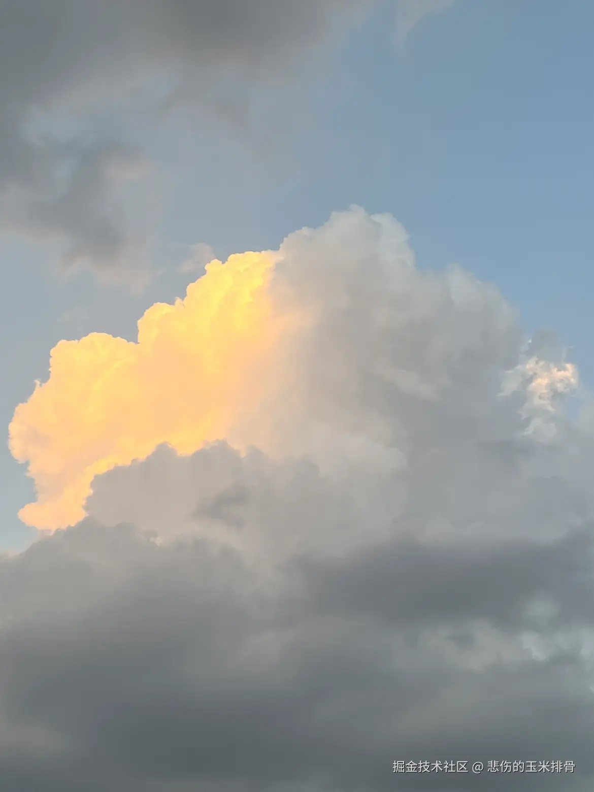 悲伤的玉米排骨于2025-10-20 14:21发布的图片