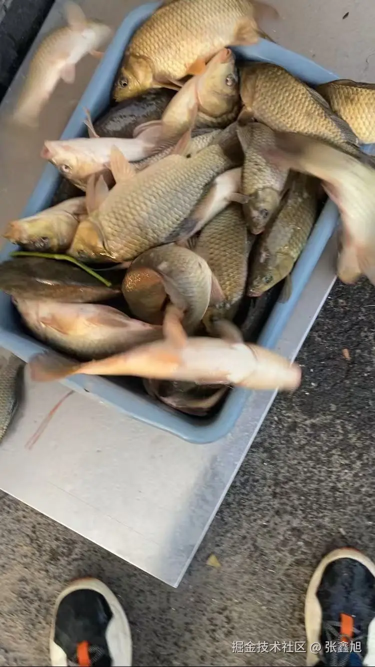 张鑫旭于2024-12-05 11:31发布的图片