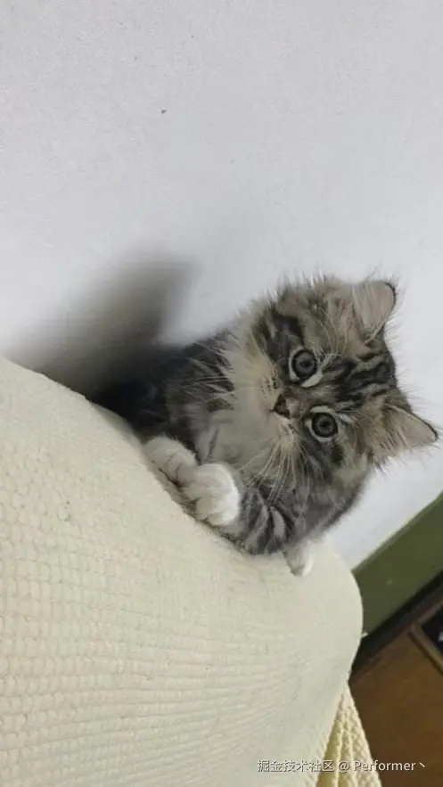 Performer丶于2024-09-11 17:14发布的图片