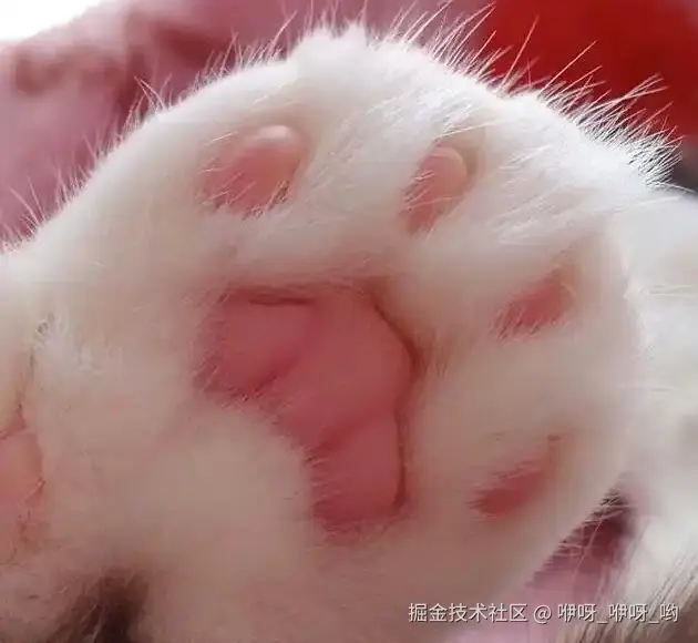 咿呀_咿呀_哟于2025-01-03 08:33发布的图片