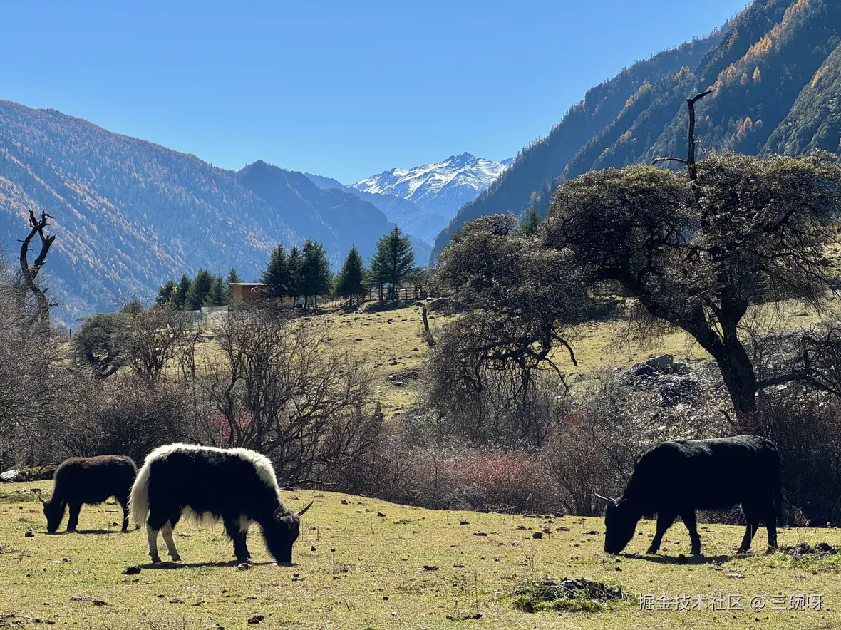 三碗呀于2024-11-13 09:18发布的图片