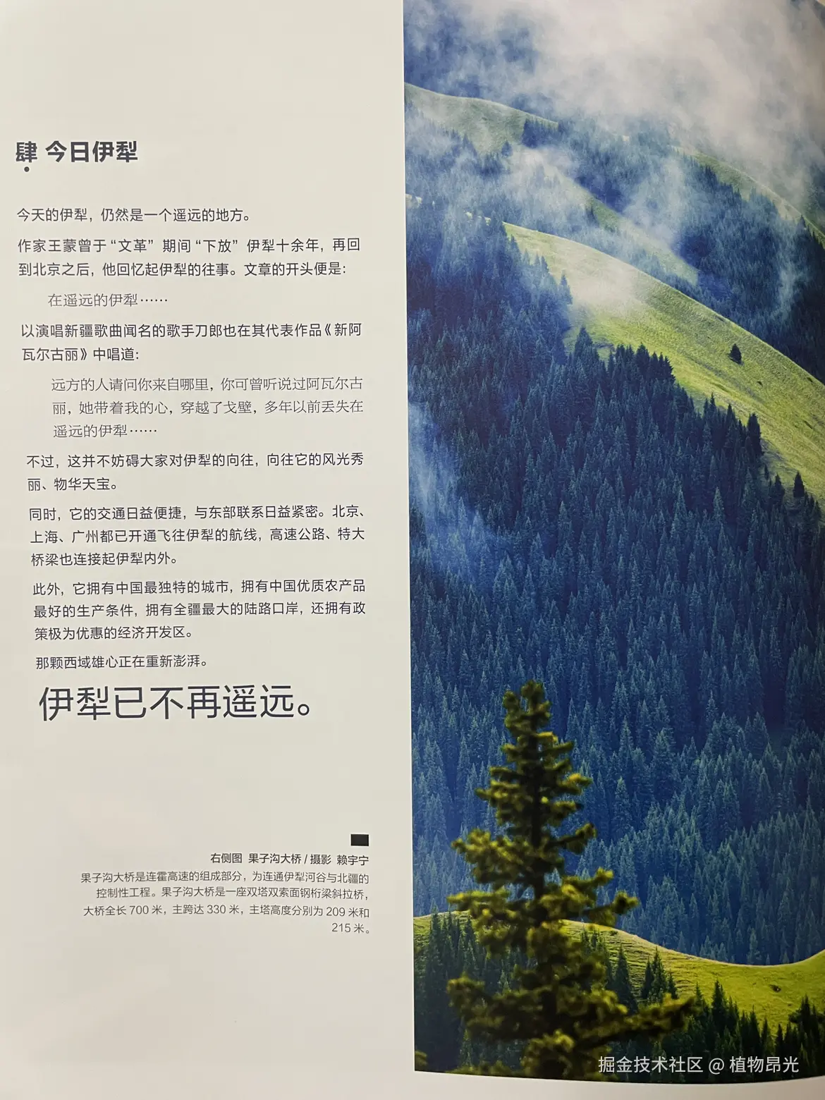 植物昂光于2026-03-19 20:22发布的图片