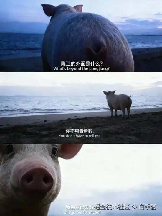 白手套于2025-10-22 09:59发布的图片