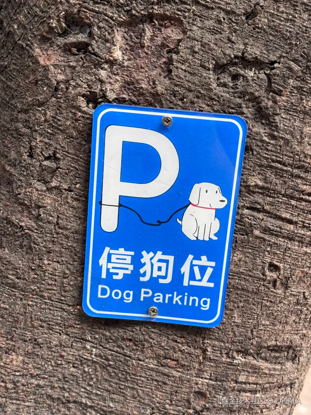 LALALA于2026-04-05 16:23发布的图片