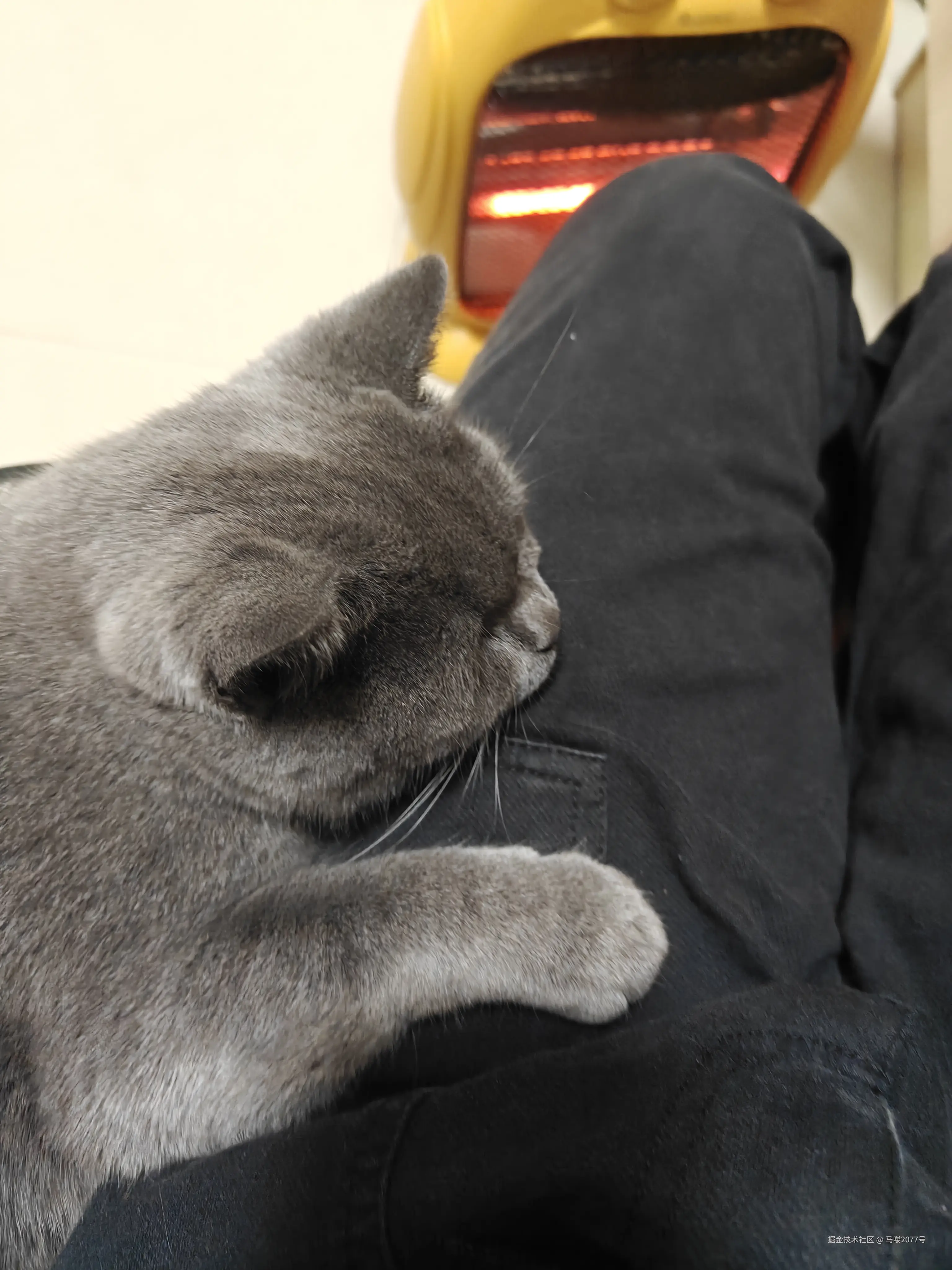 马喽2077号于2026-01-07 12:30发布的图片