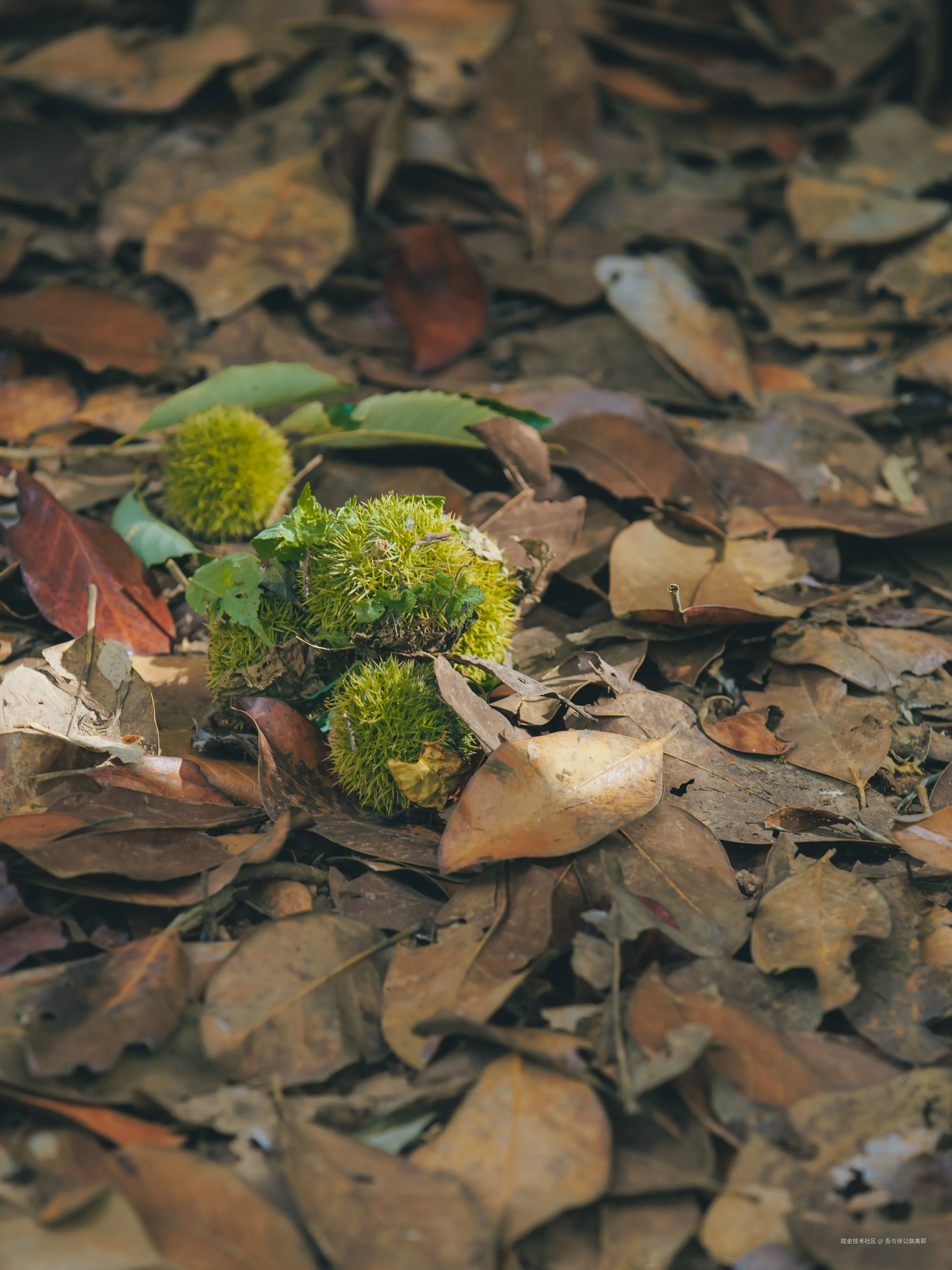 吾与徐公孰美耶于2025-09-15 14:16发布的图片