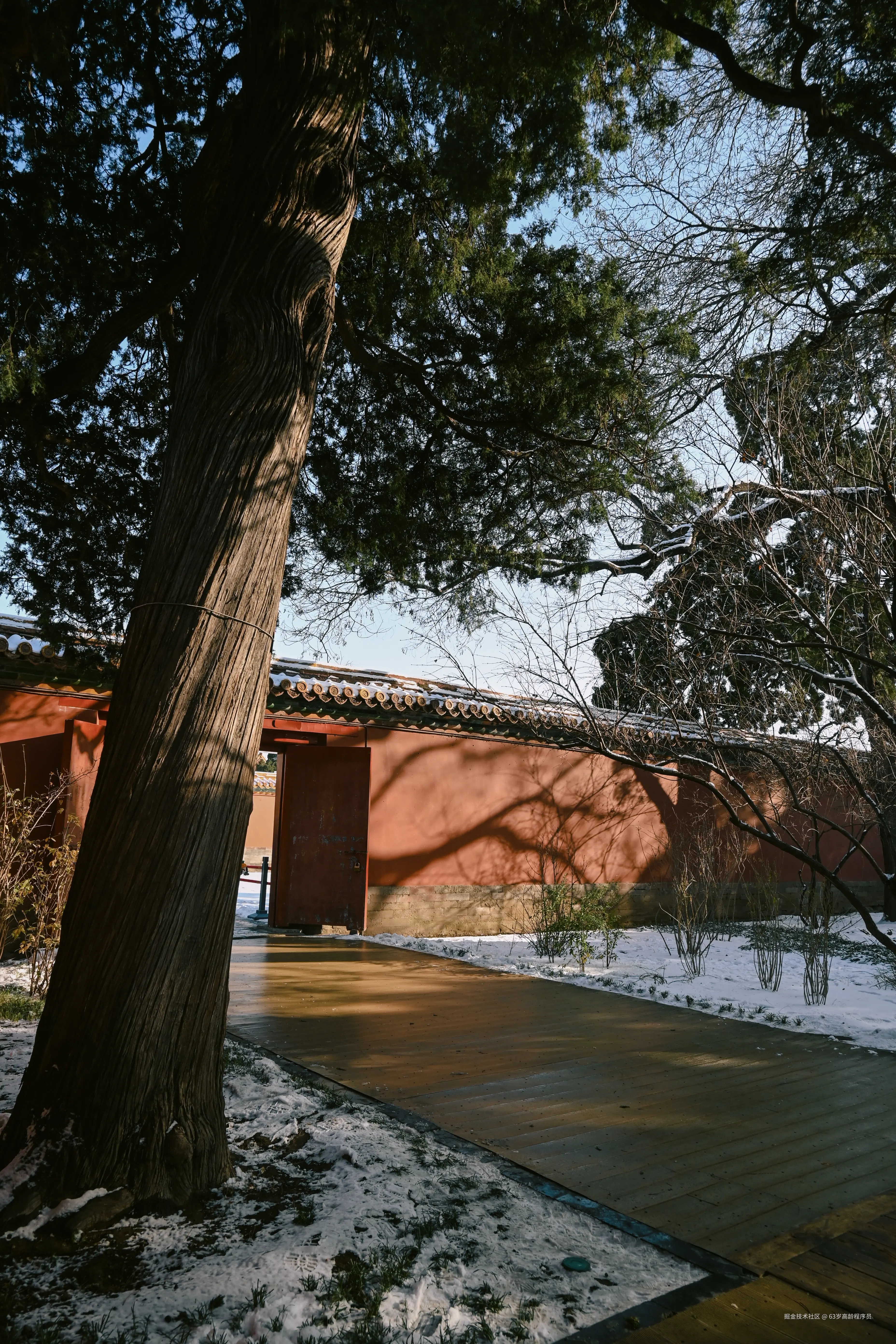 63岁高龄程序员于2025-12-19 09:23发布的图片