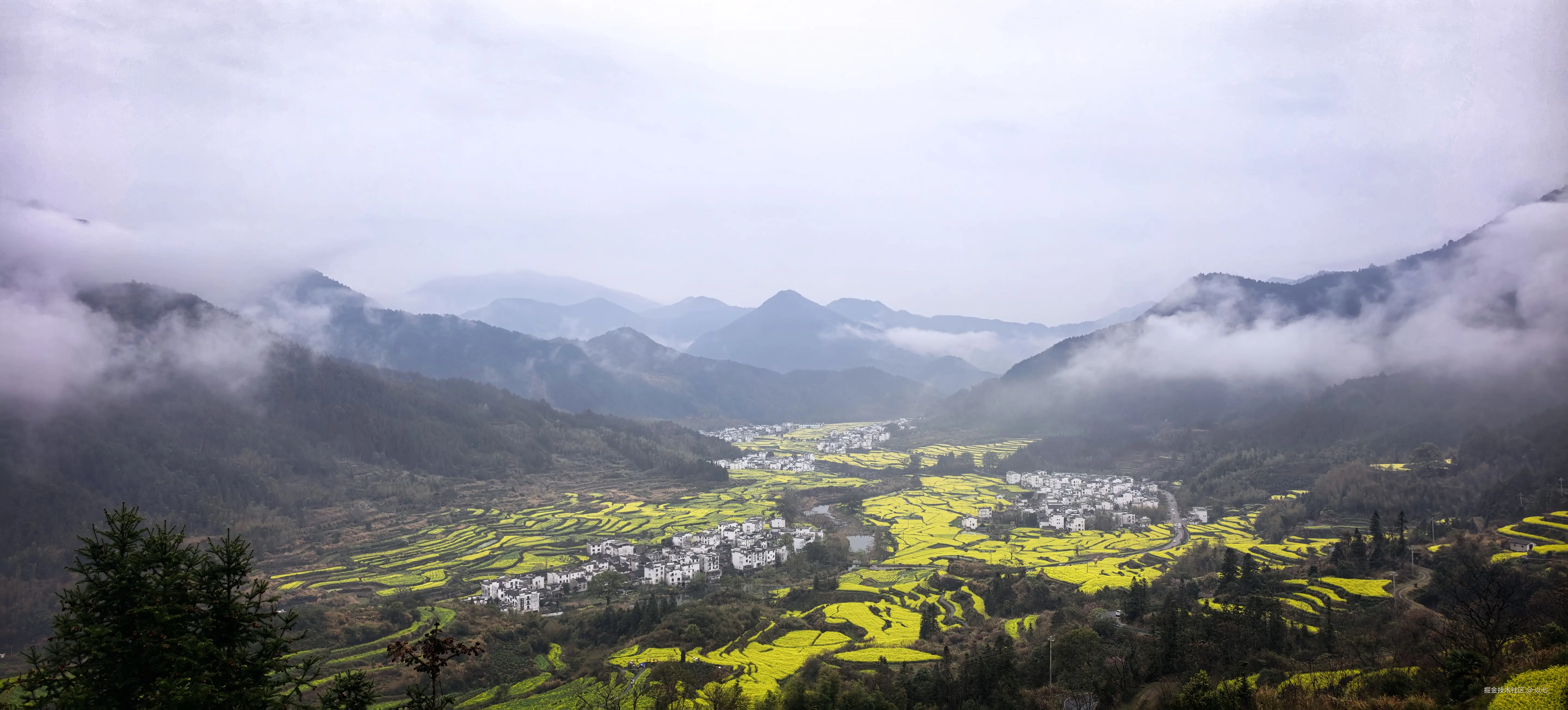 以七_于2026-03-24 11:30发布的图片