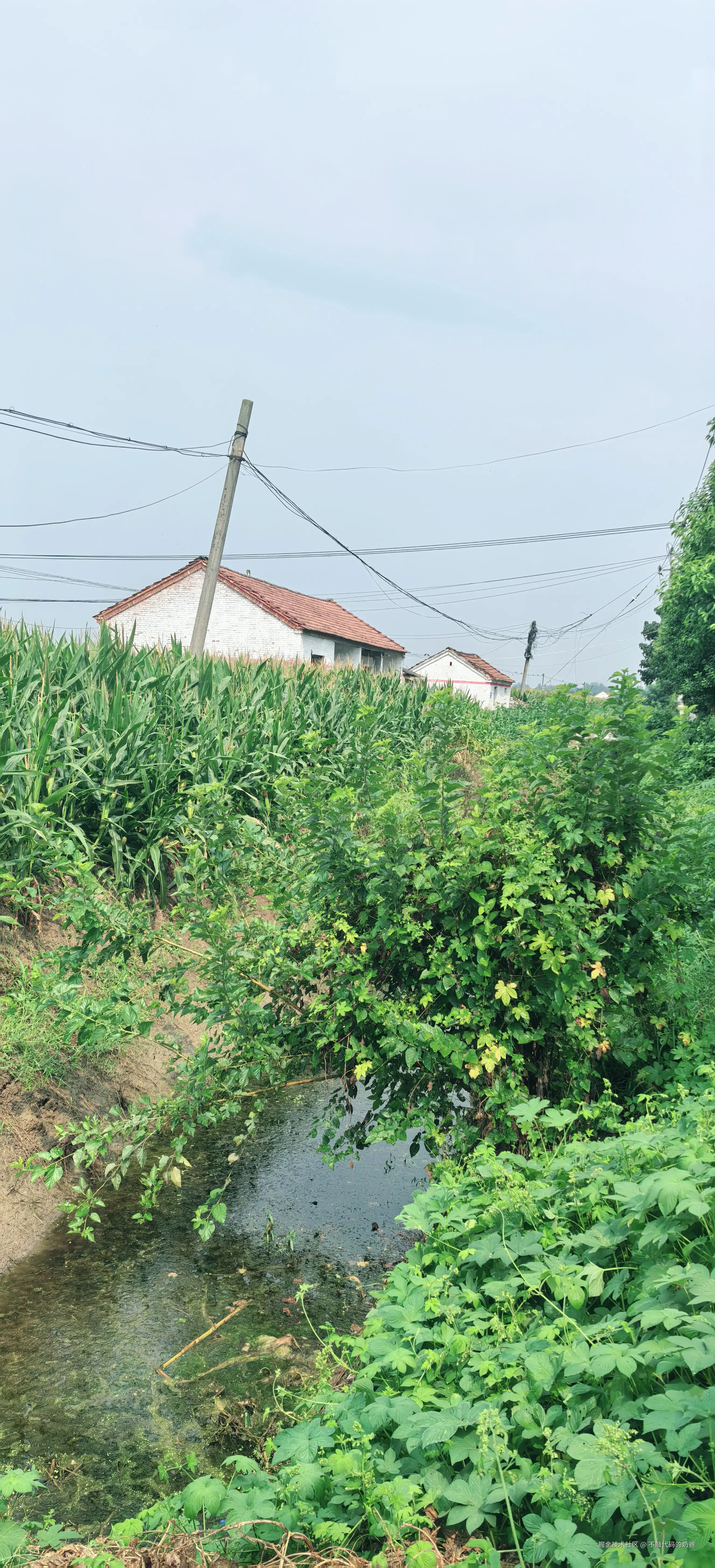 不敲代码的奶爸于2024-08-25 16:49发布的图片